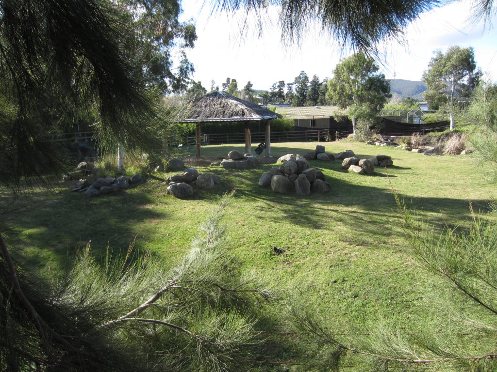 African ungulate exhibit