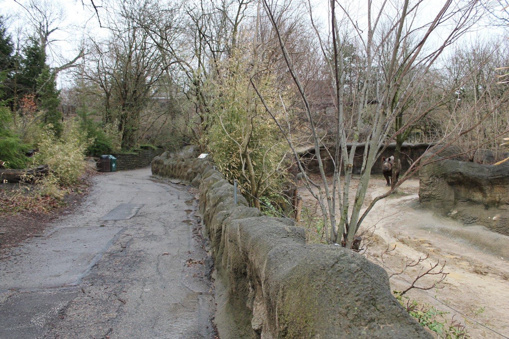 African Vedlt/Wolf Woods- Indian Rhino Exhibit & Pathway