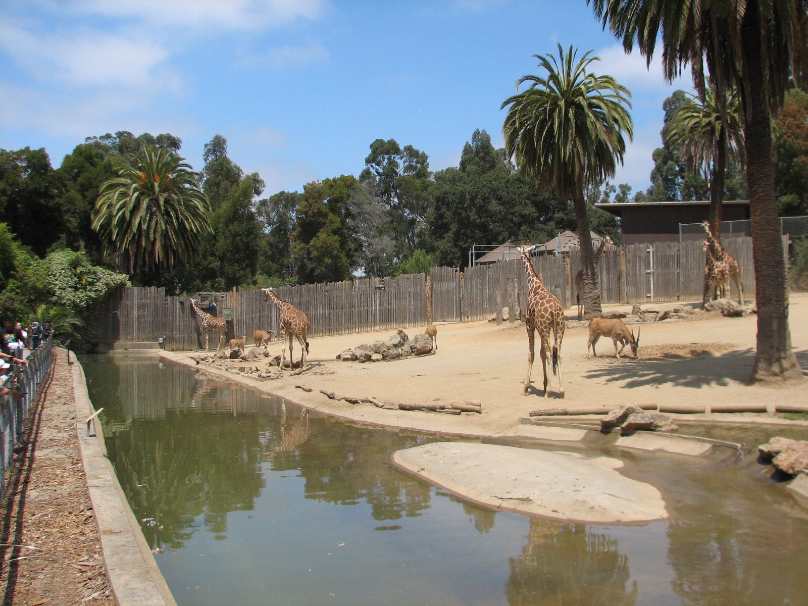 African Veldt Exhibit