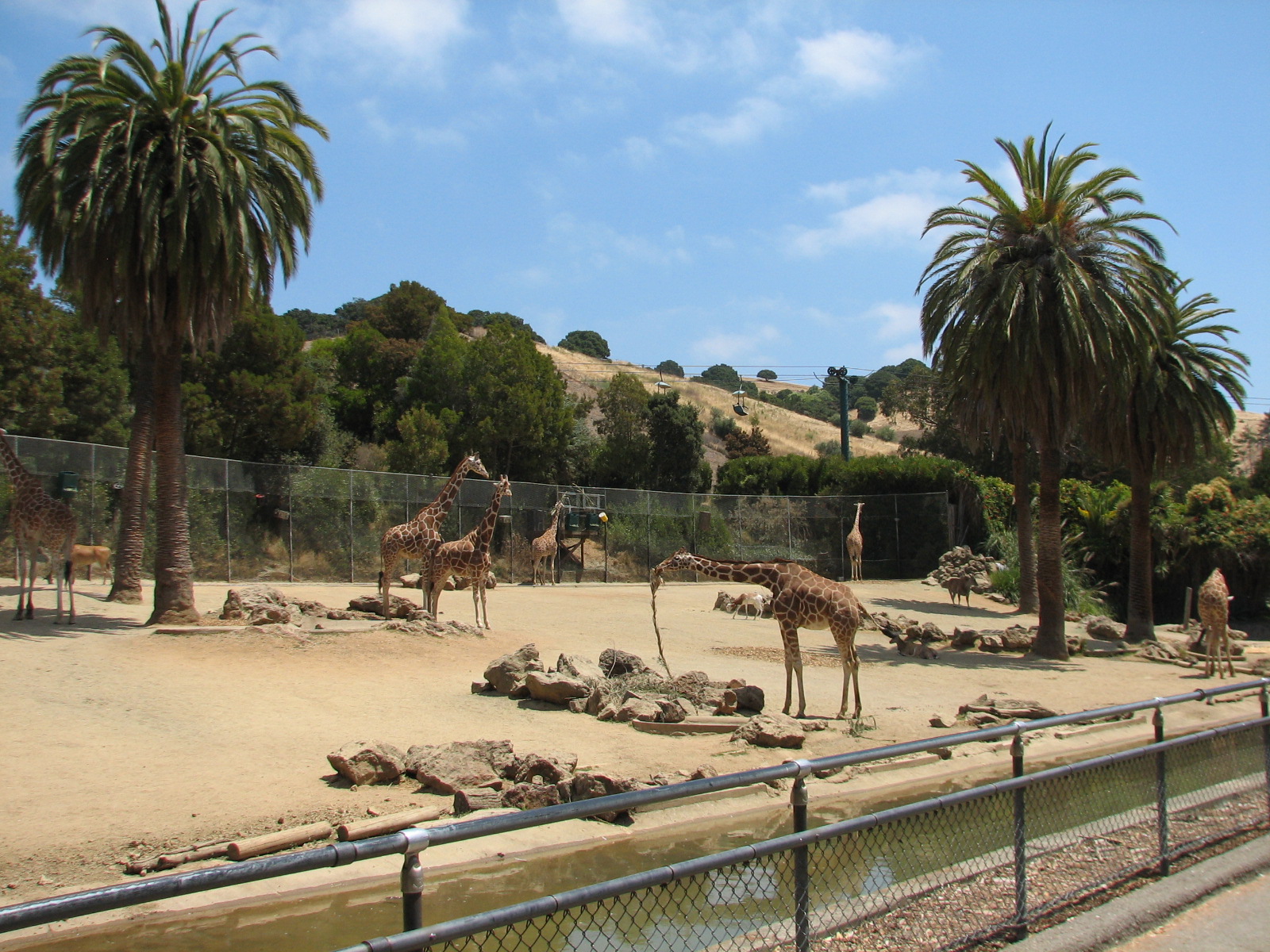 African Veldt Exhibit