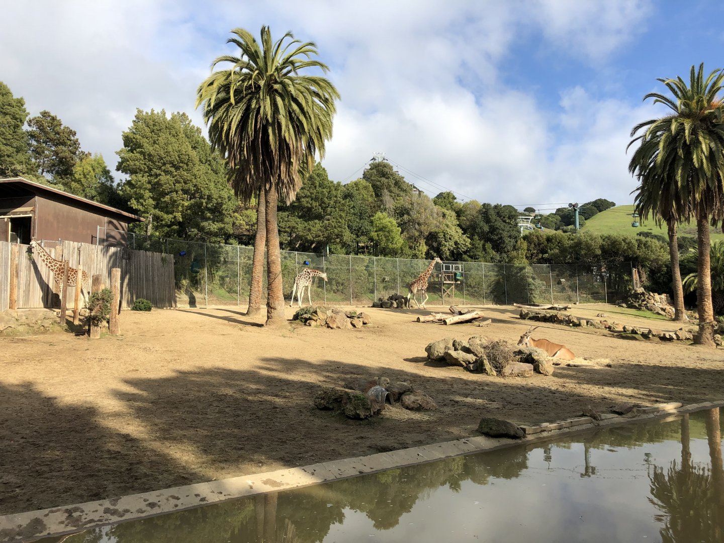 African veldt exhibit