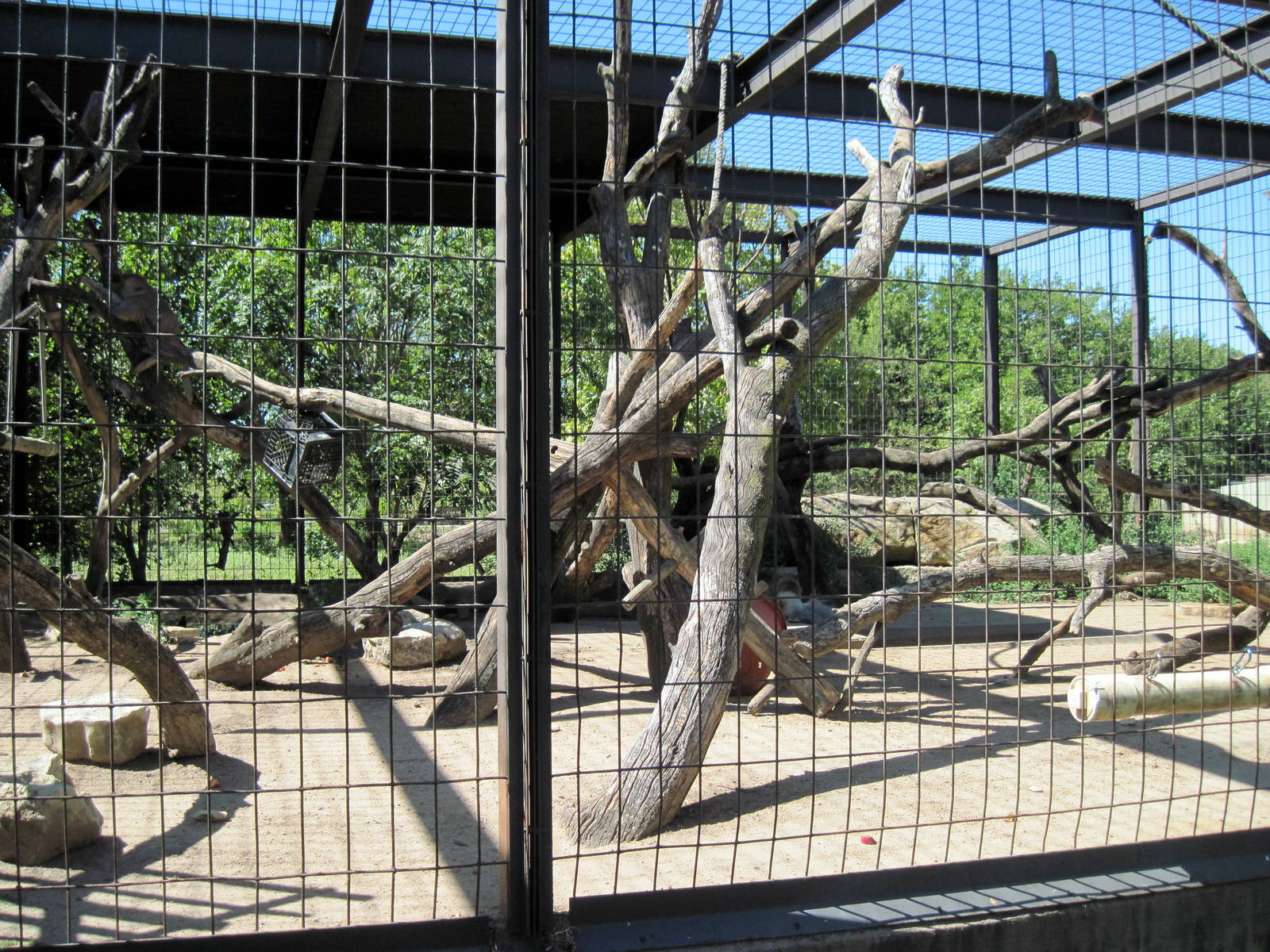 African Veldt-Hamadryas Baboon Exhibit