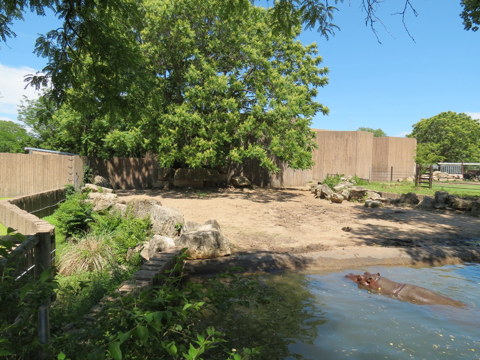 African Veldt - Hippopotamus Exhibit