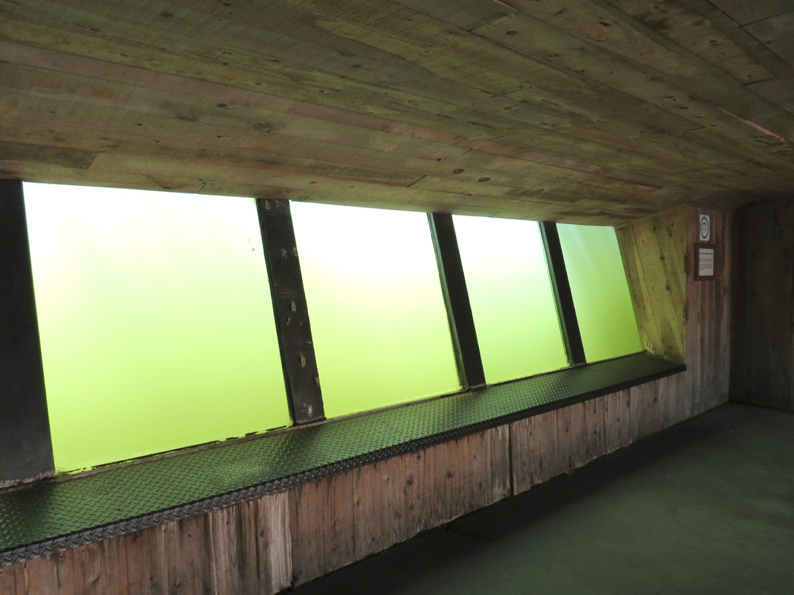 African Veldt - Hippopotamus Exhibit