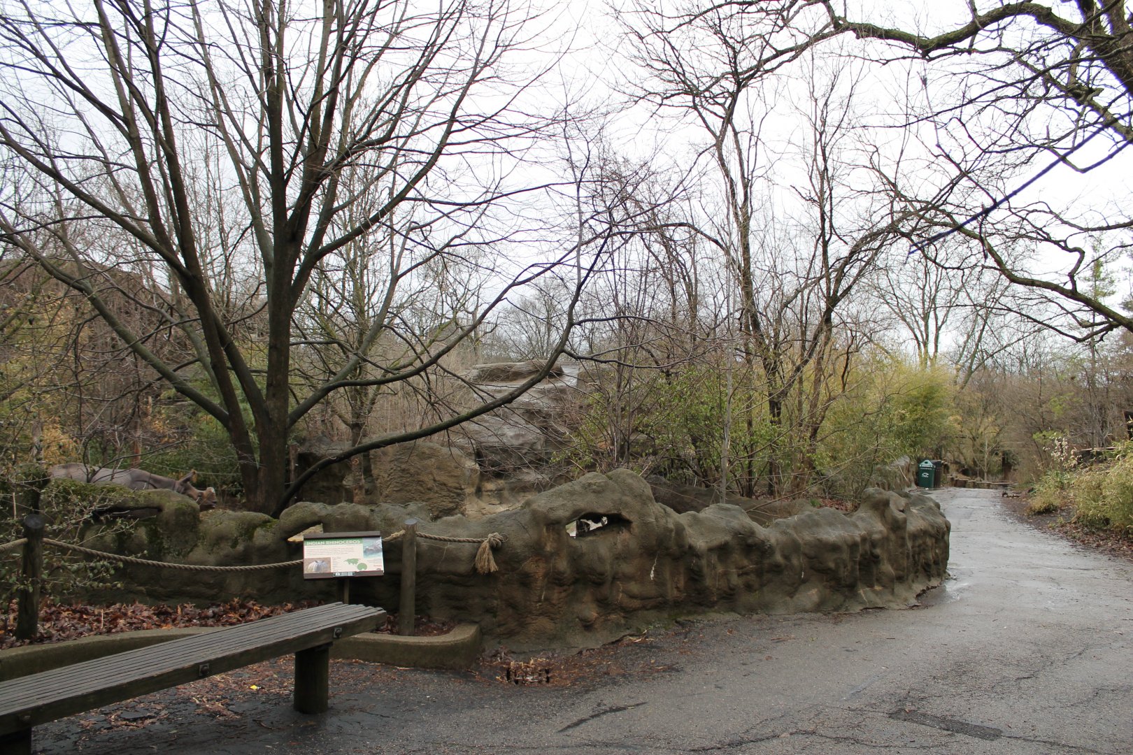 African Veldt- Indian Rhino Exhibit Viewing