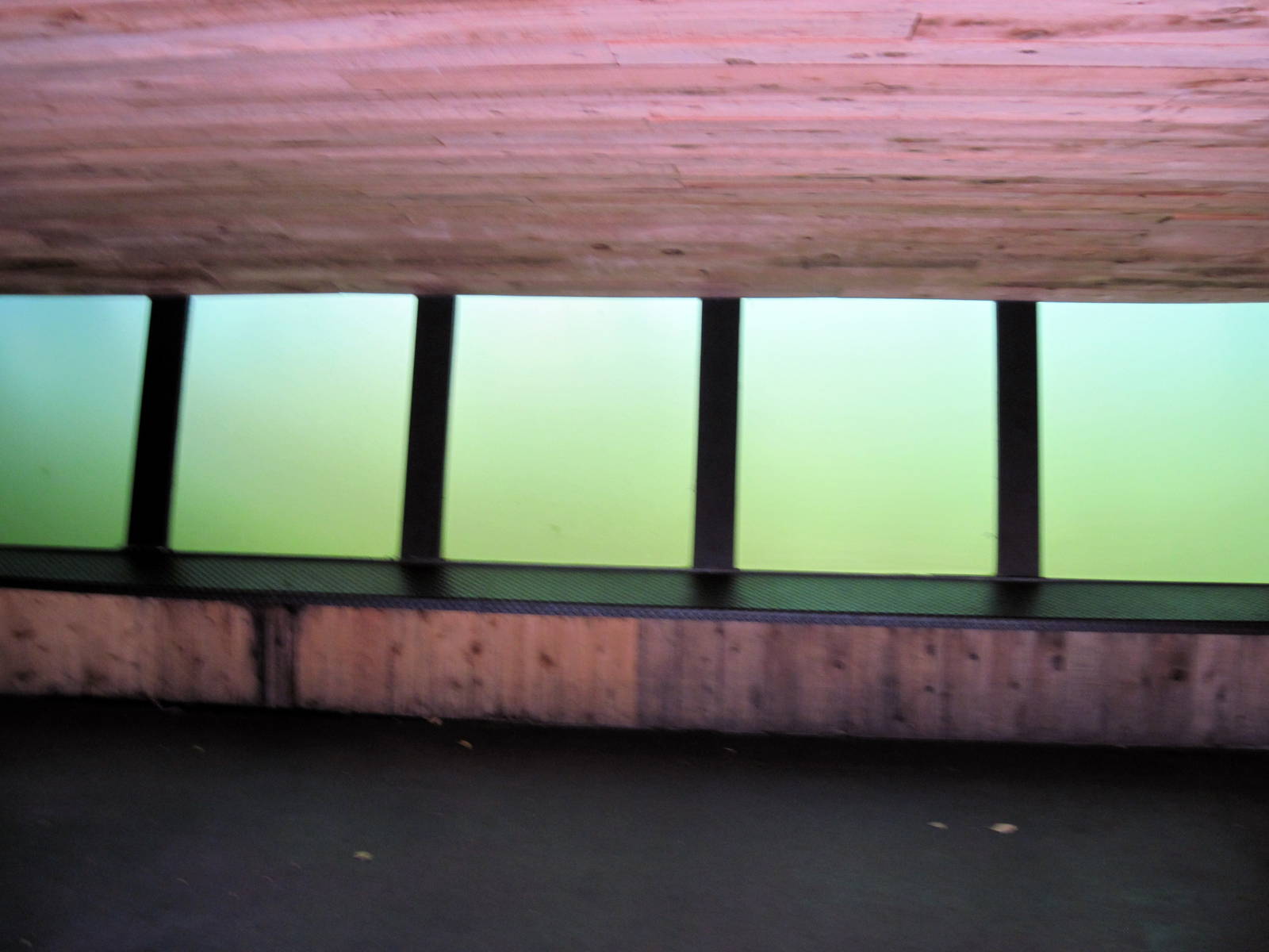 African Veldt-Nile Hippopotamus Underwater Viewing