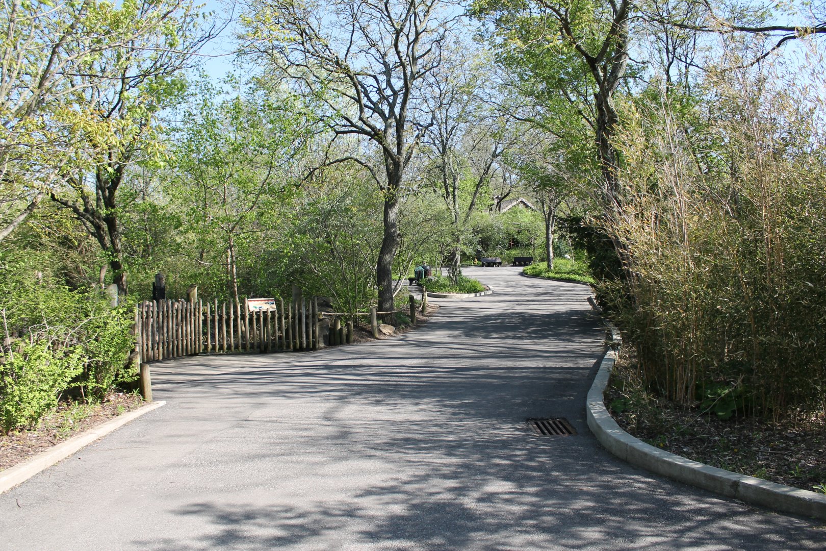 African Veldt Pathway