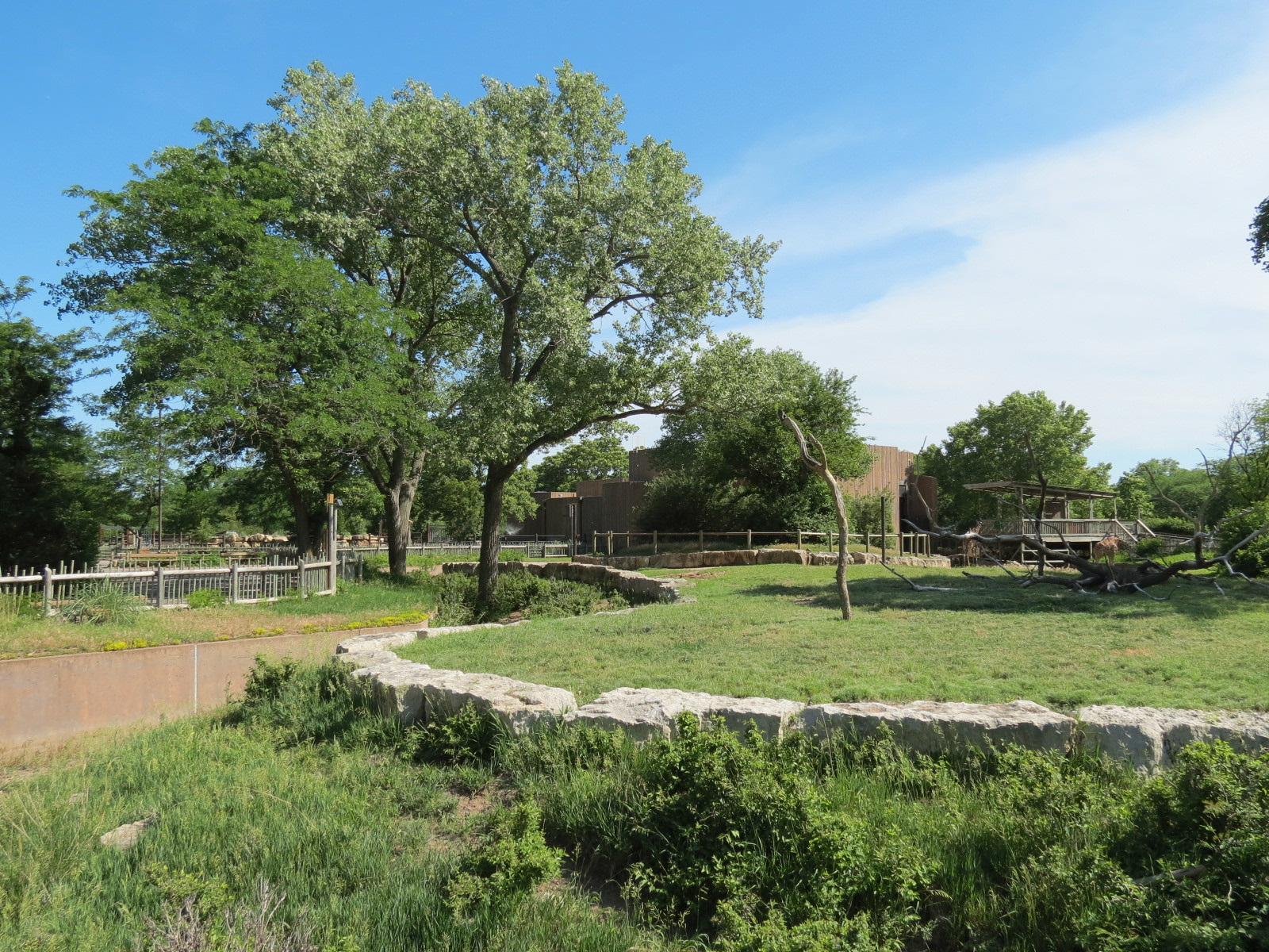 African Veldt - Reticulated Giraffe Exhibit