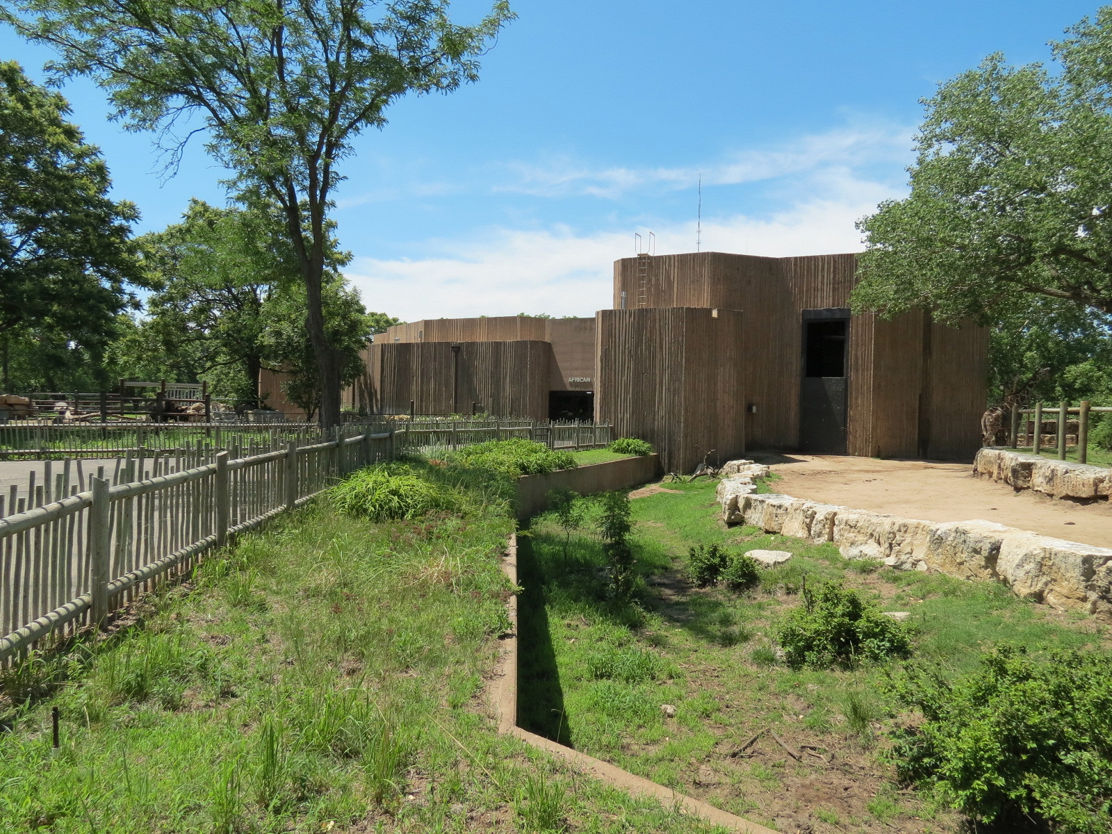 African Veldt - Reticulated Giraffe Exhibit