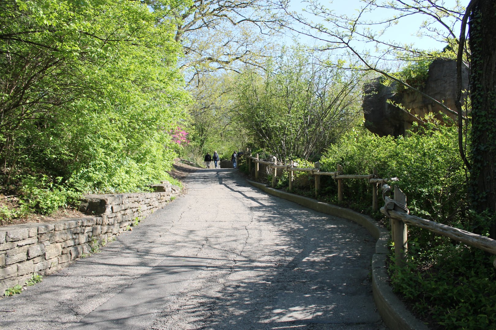 African Veldt/Rhino Reserve Pathway