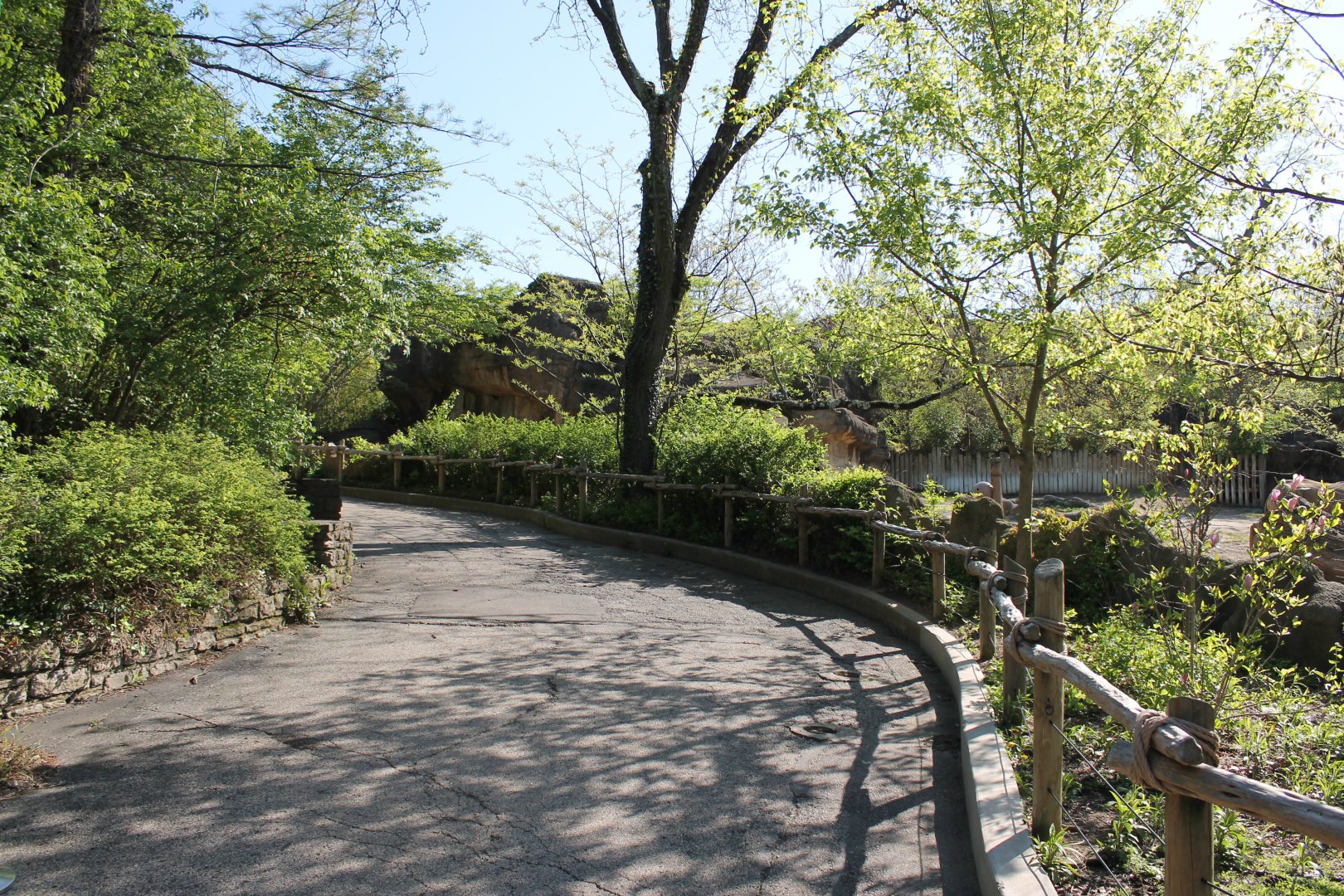 African Veldt/Rhino Reserve Pathway