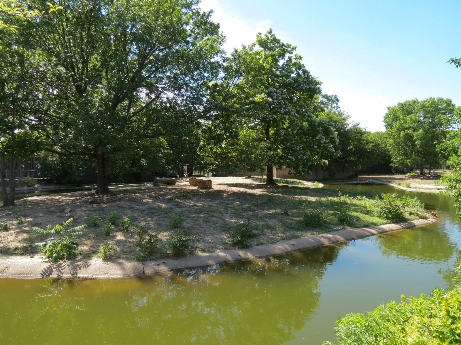 African Veldt - Slender-horned Gazelle and Warthog Exhibit