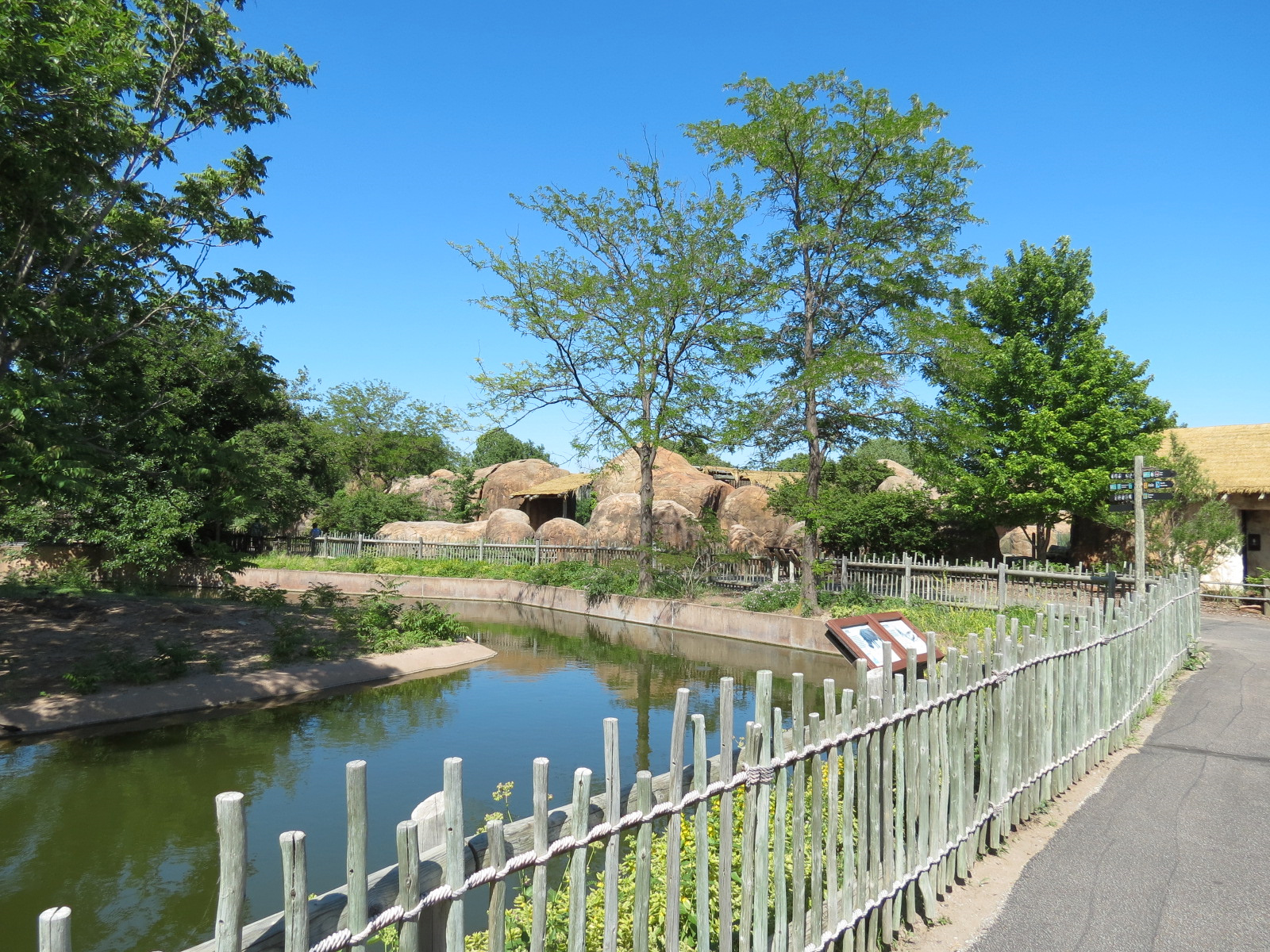 African Veldt - Slender-horned Gazelle and Warthog Exhibit