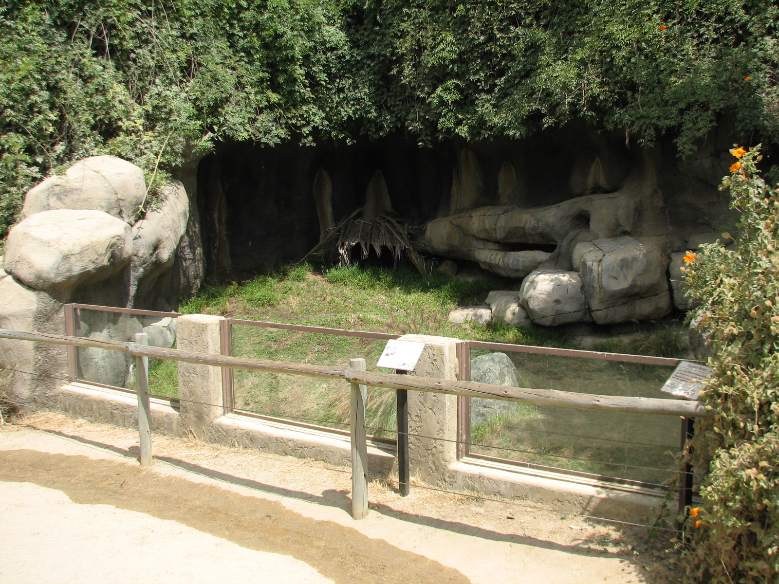 African Village - African Spurred Tortoise Exhibit