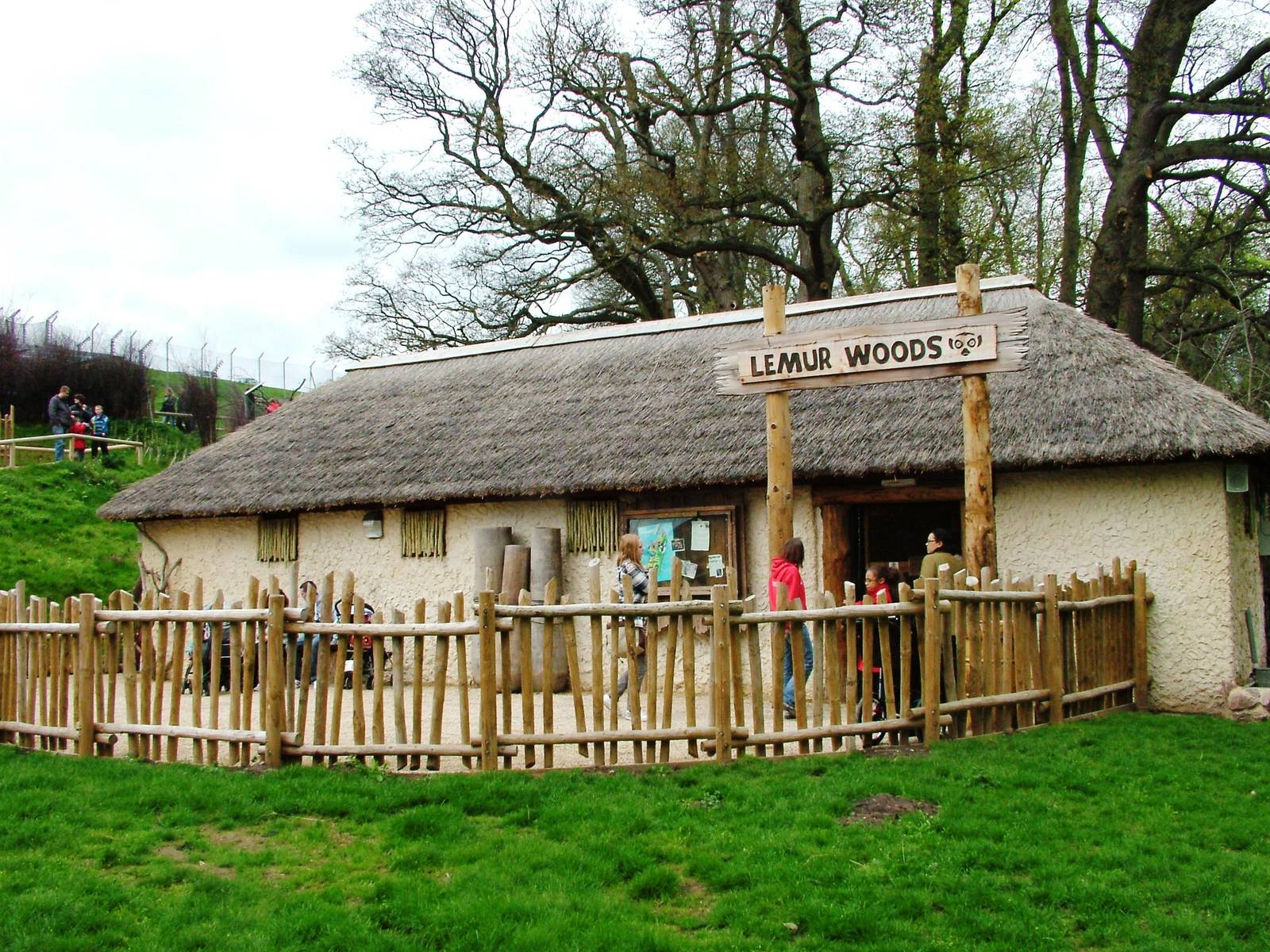 African Village at West Mids, 05/05/12