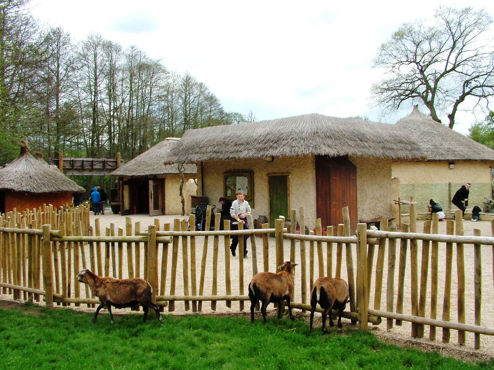 African Village at West Mids, 05/05/12