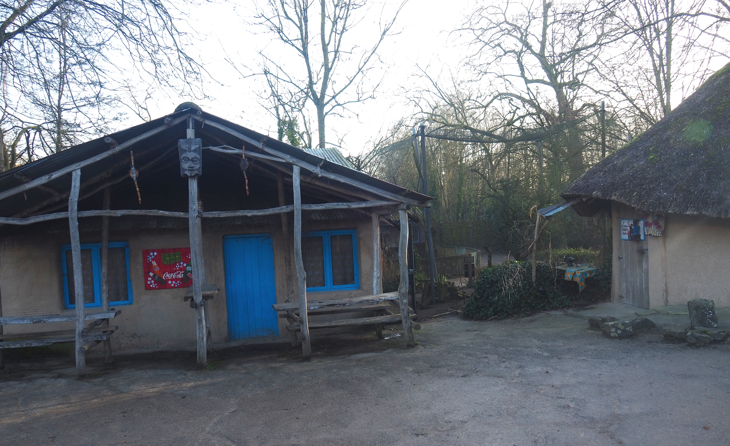 African village buildings and weaver aviary, 2022-01-30