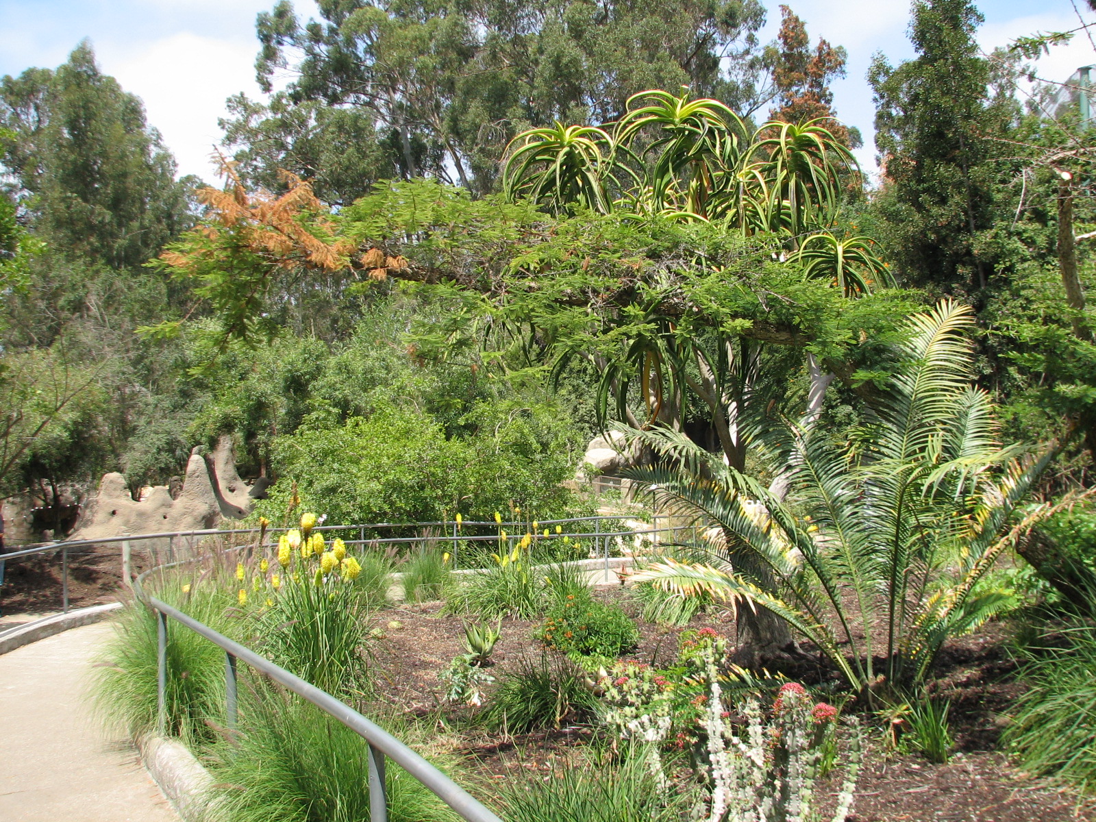 African Village - Entry Path