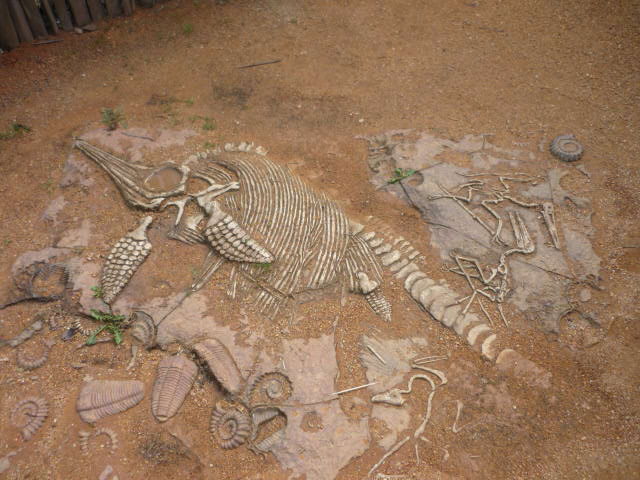 African Village: Fossil Graveyard