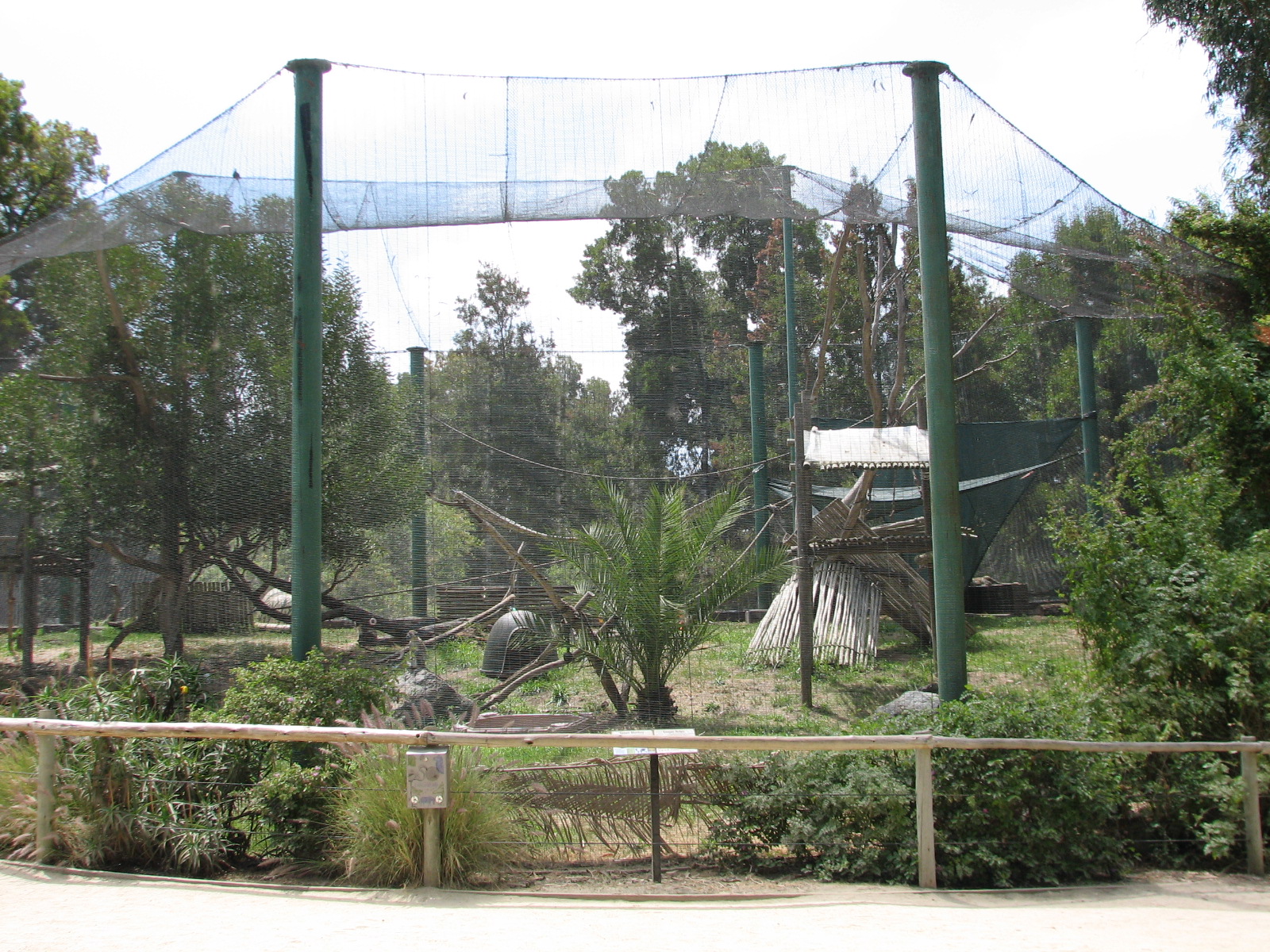 African Village - Green Monkey Exhibit
