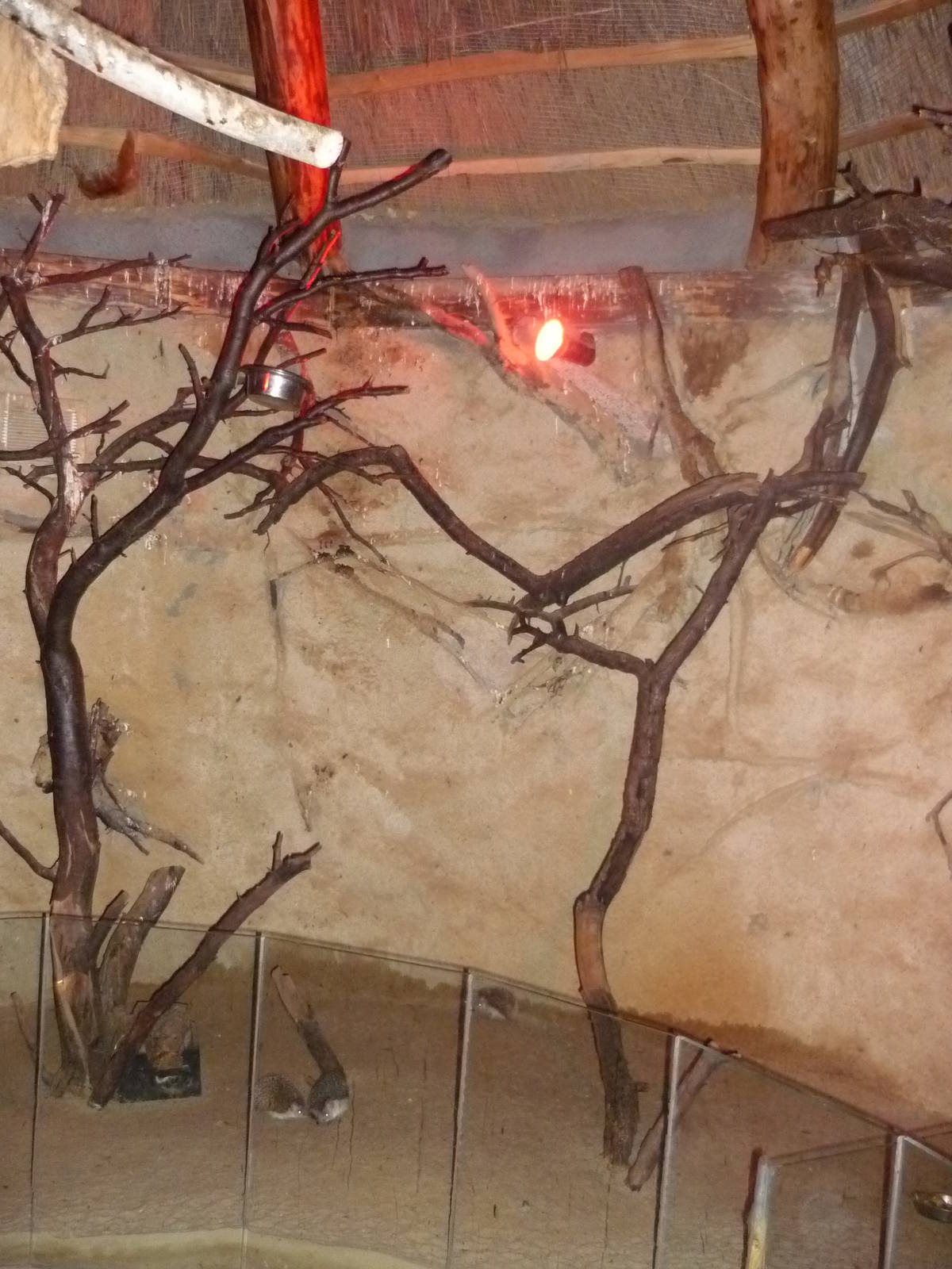 African Village Nocturnal Hat