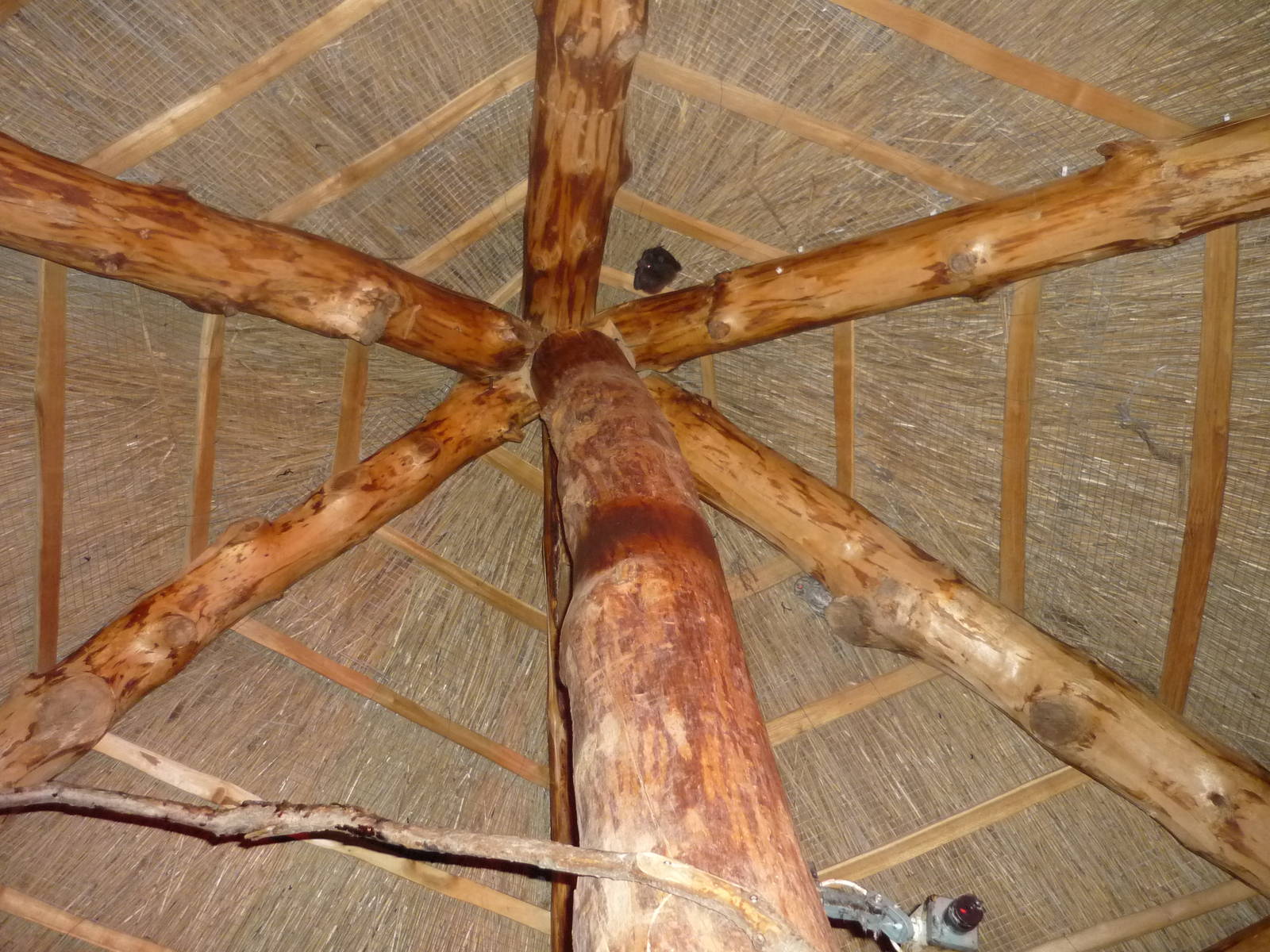 African Village Nocturnal Hat