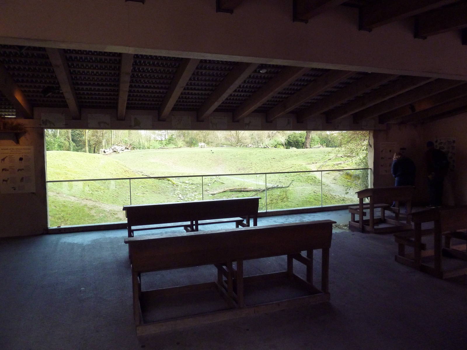 African Village - Savanna Viewing From Classroom