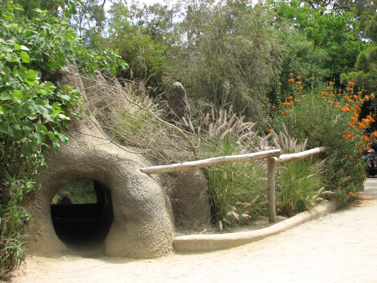 African Village - Slender-tailed Meerkat Exhibit - Crawl Tunnel Entrance