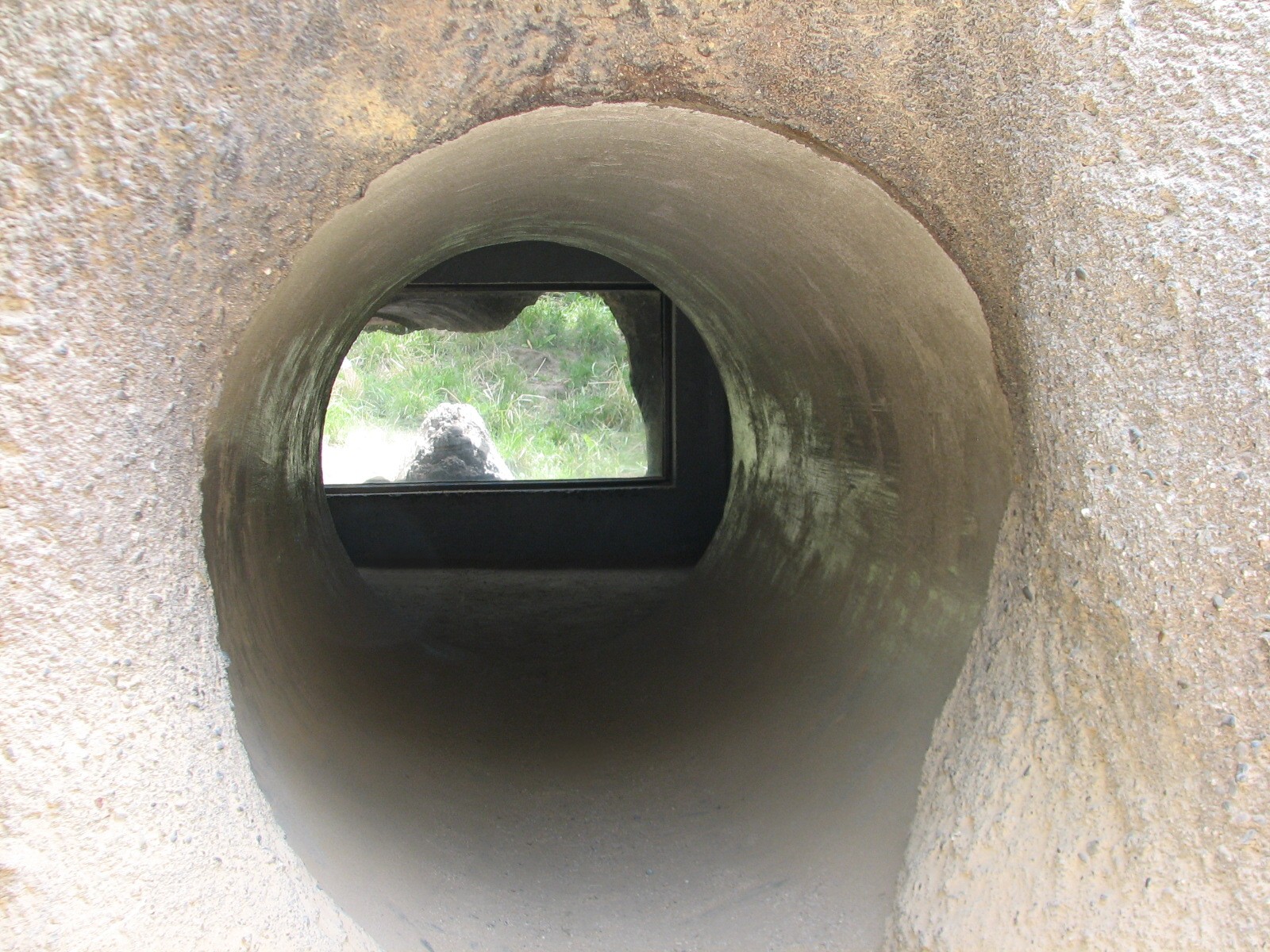 African Village - Slender-tailed Meerkat Exhibit - Crawl Tunnel
