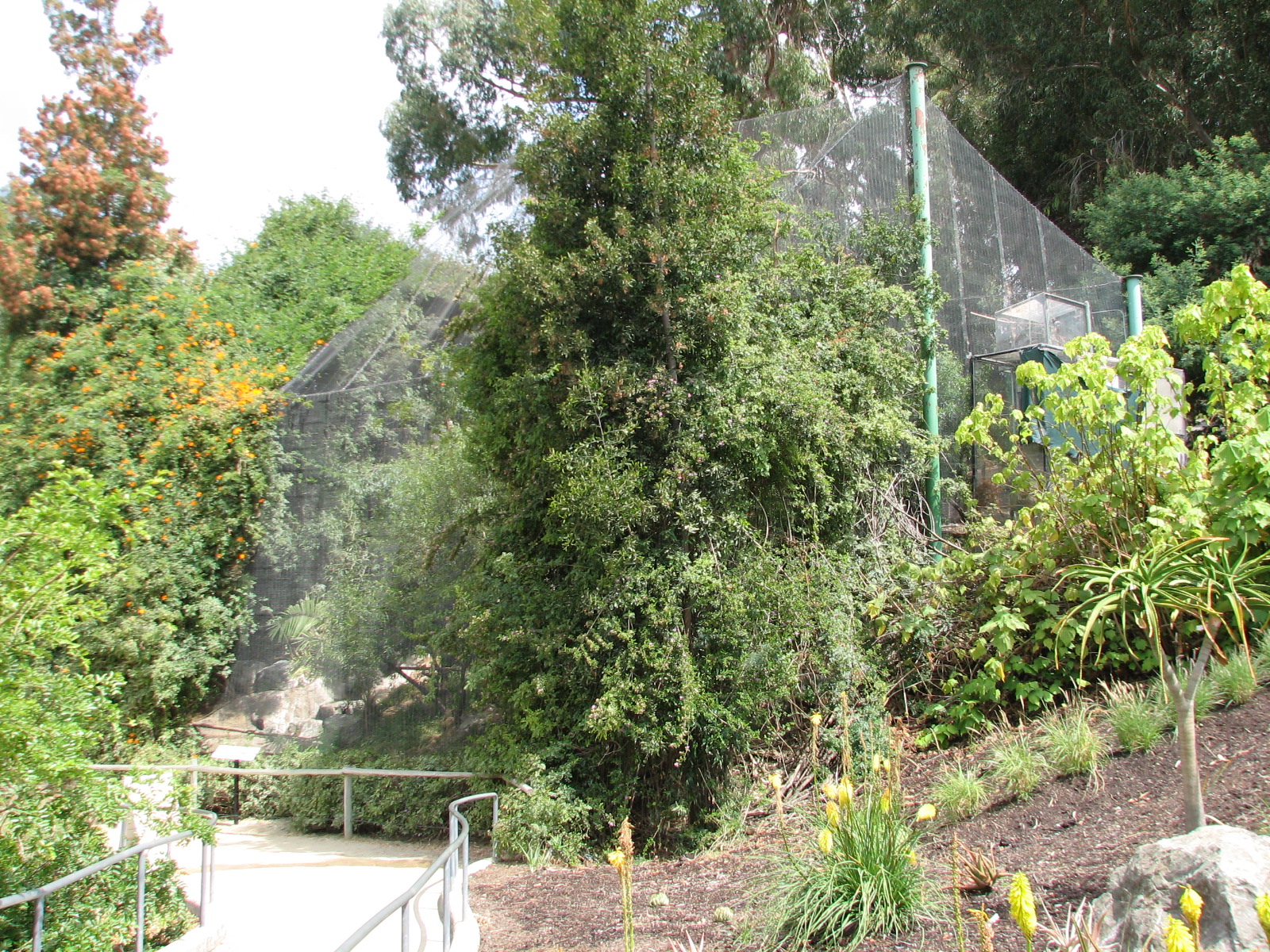 African Village - Small African Aviary