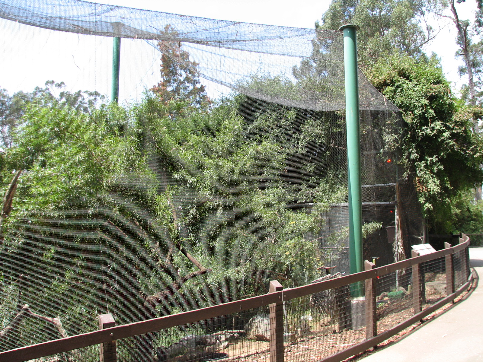 African Village - Small African Aviary