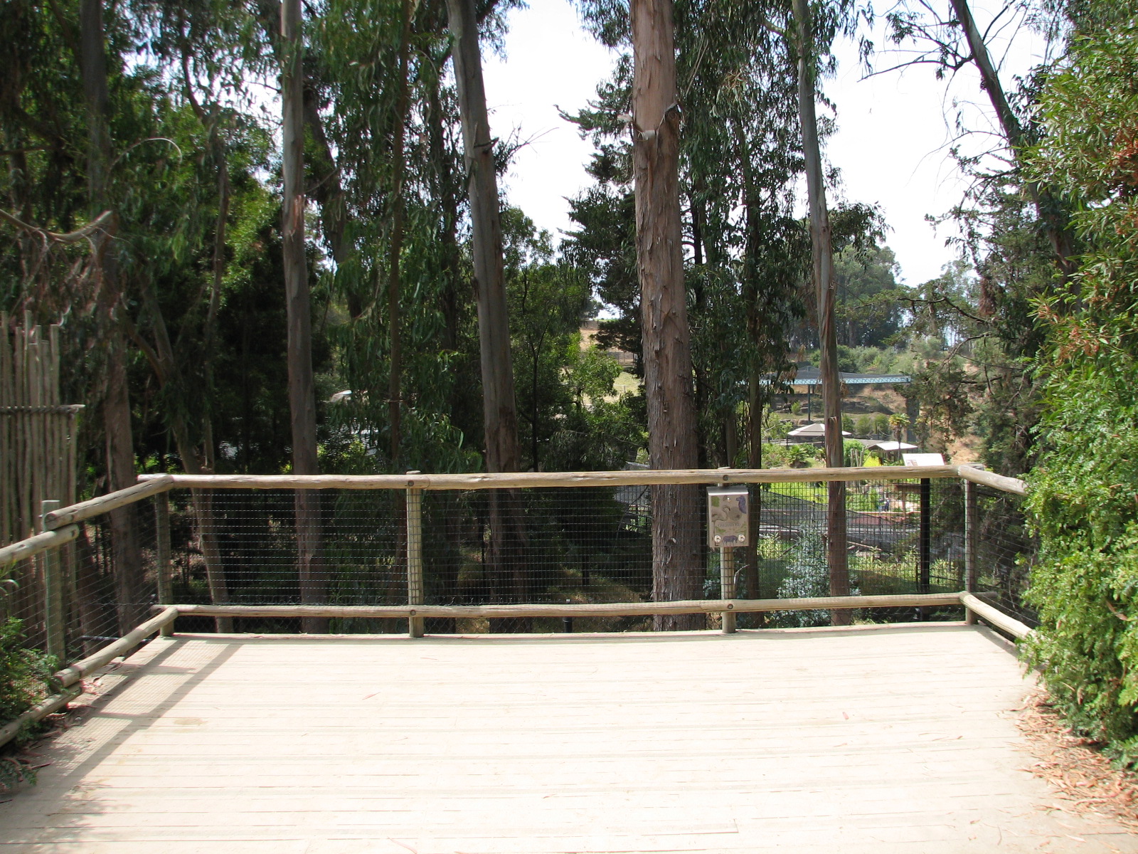 African Village - Spotted Hyena Exhibit Viewing Area