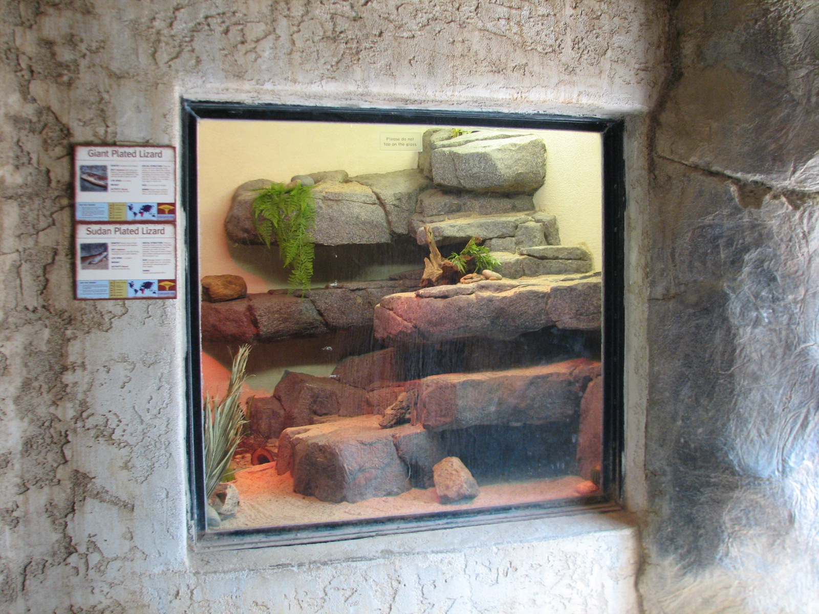 African Village - Sudan and Giant Plated Lizards Exhibit
