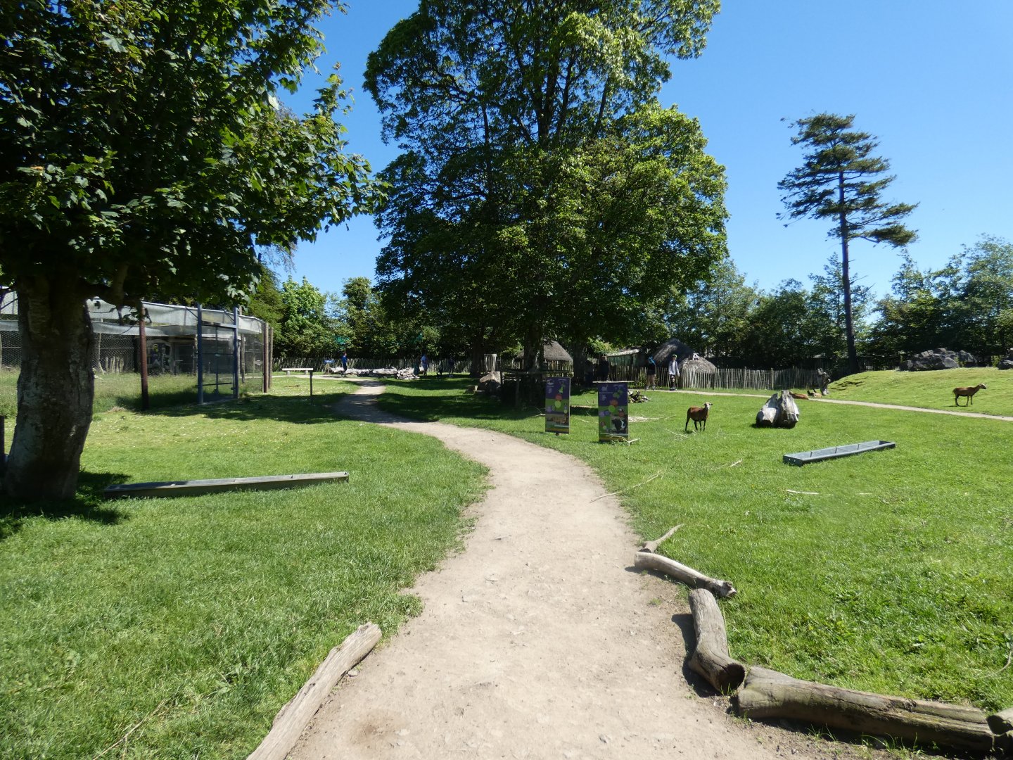 African village walk-through