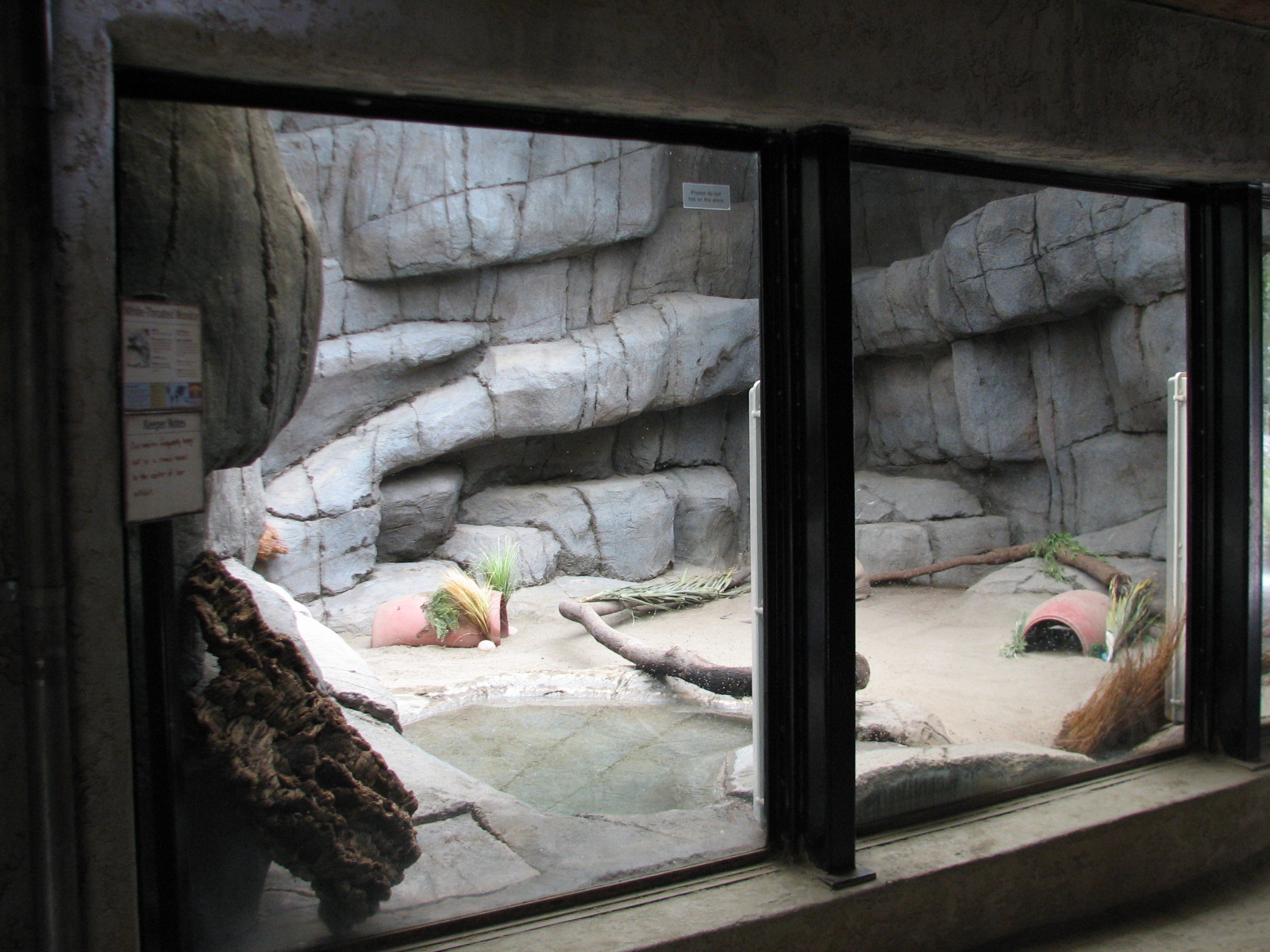 African Village - White-throated Monitor Exhibit
