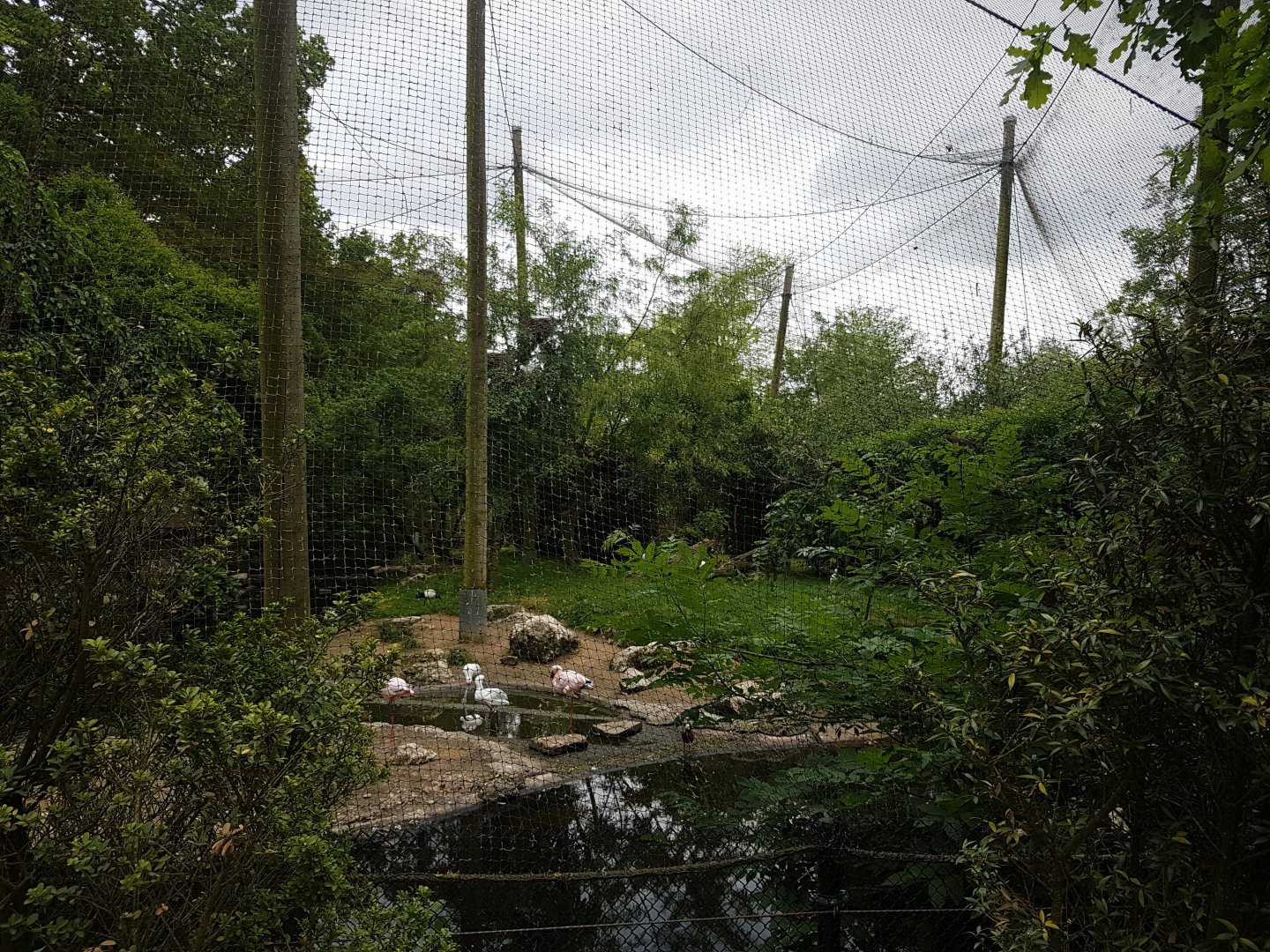 African wading-bird aviary