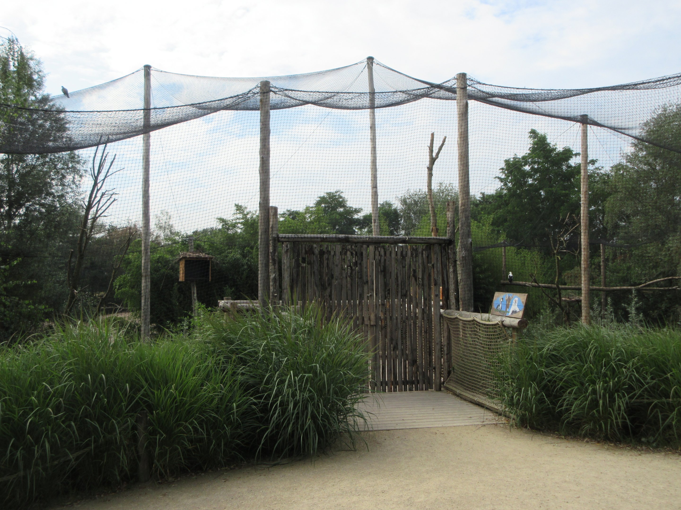 African Walk-in Aviary (4 species)