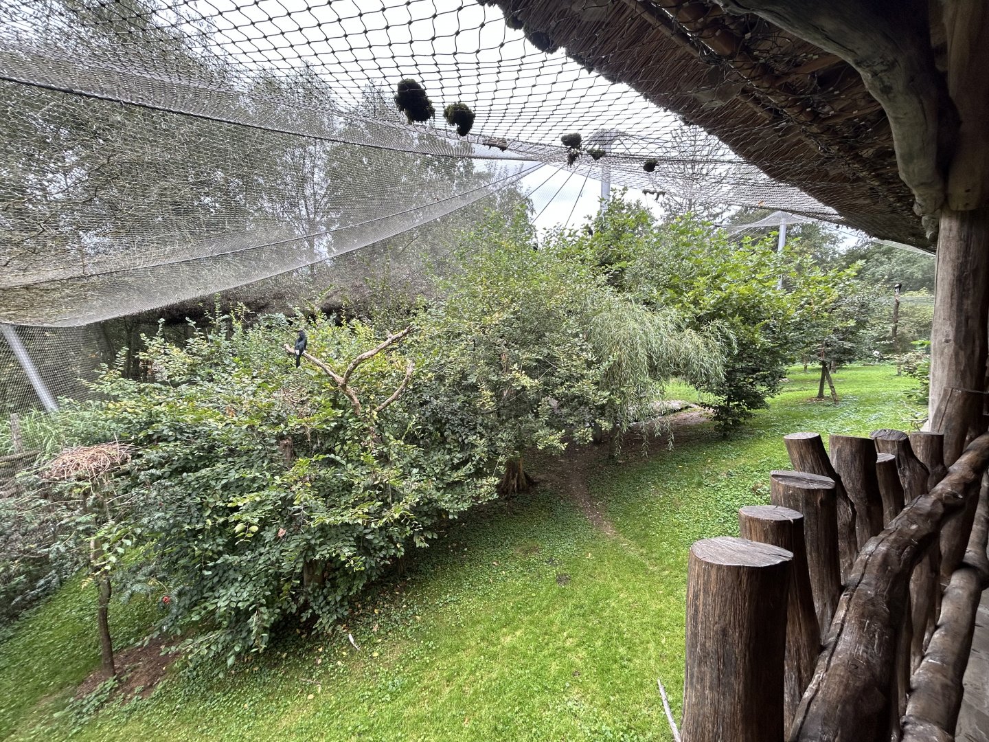 African Walk-in Aviary