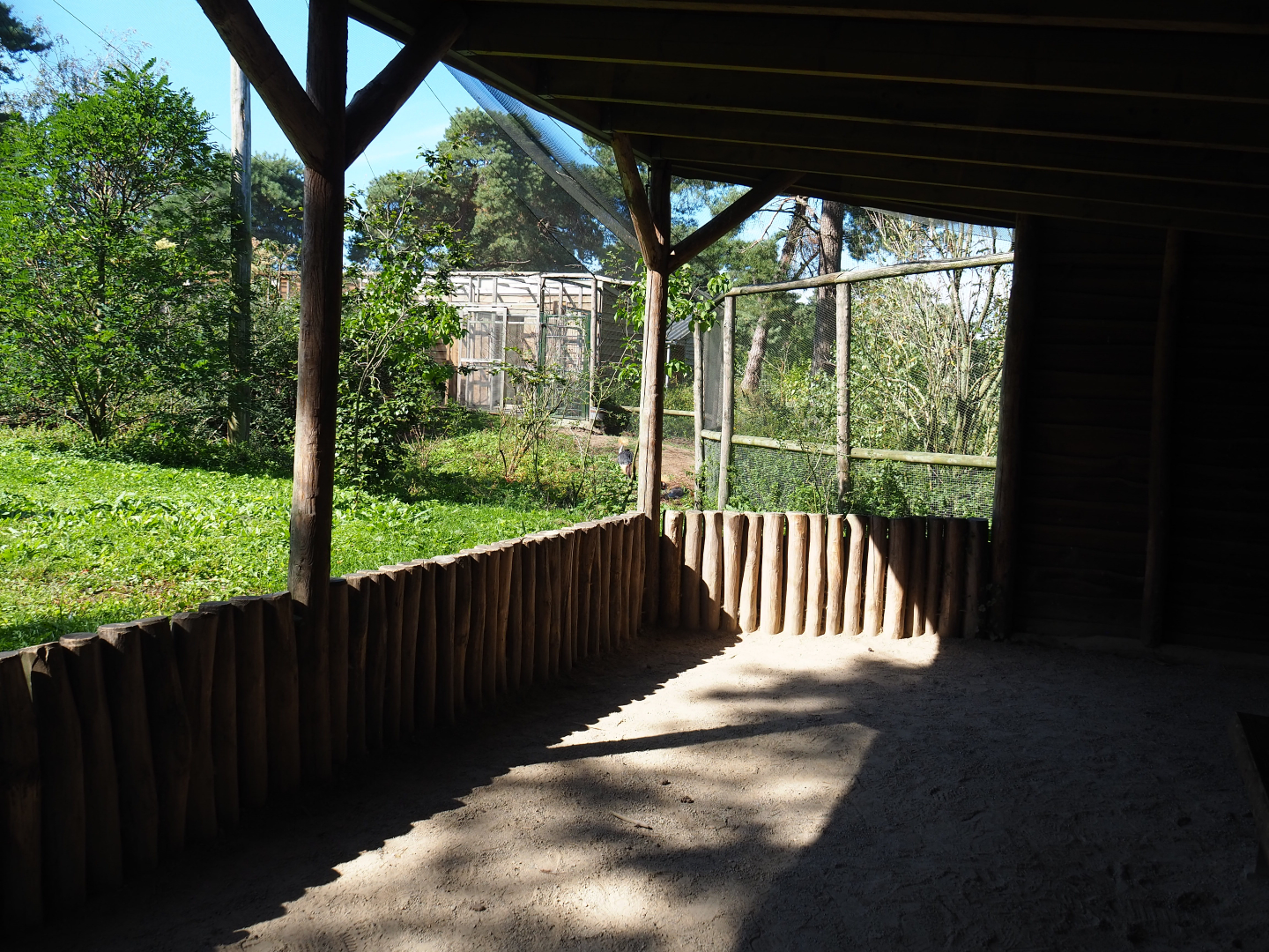 African walk-into aviary viewing area, 2019-09-15