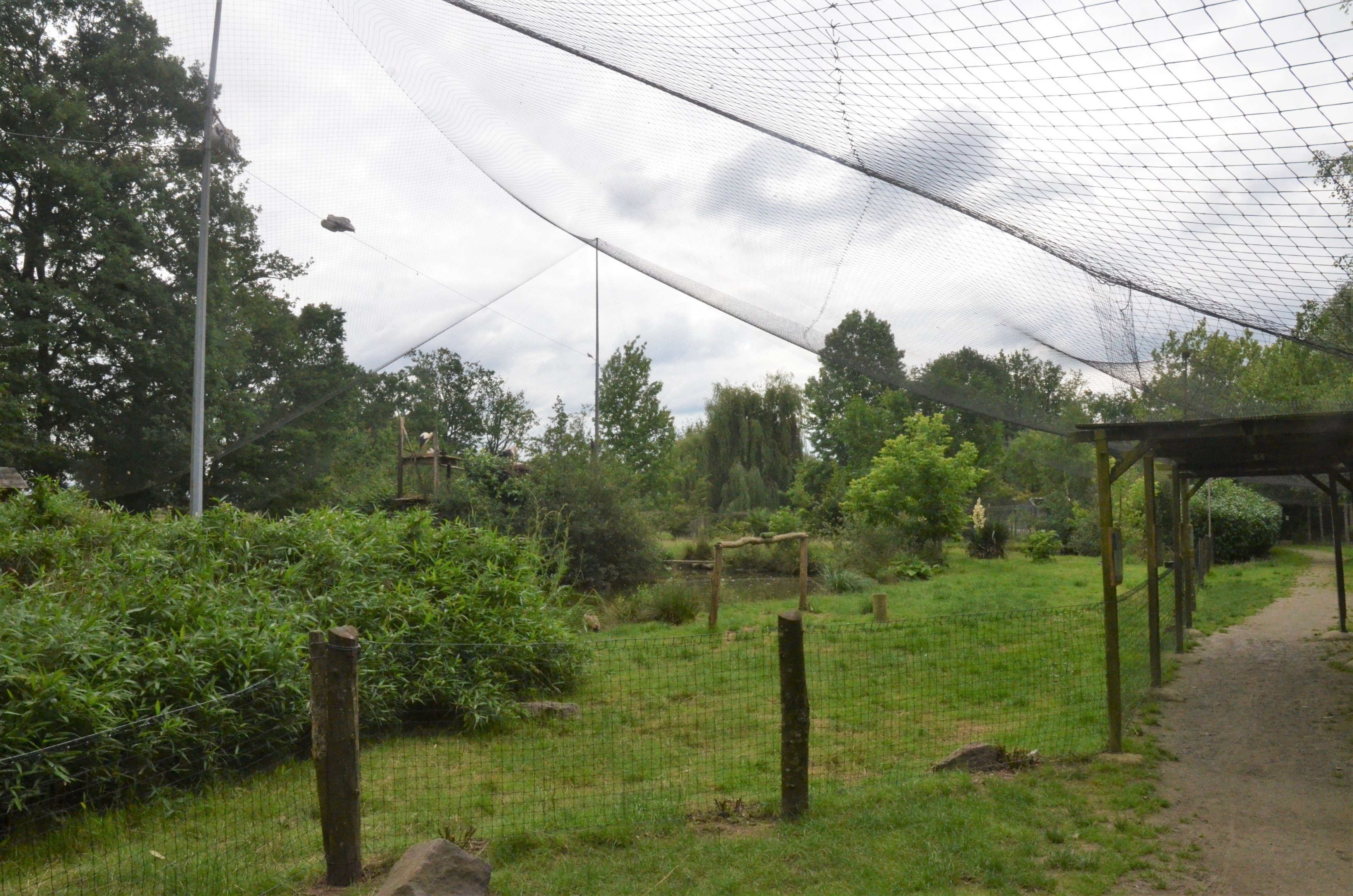 African Walk-through Aviary at Spaycific'Zoo, 13/06/18