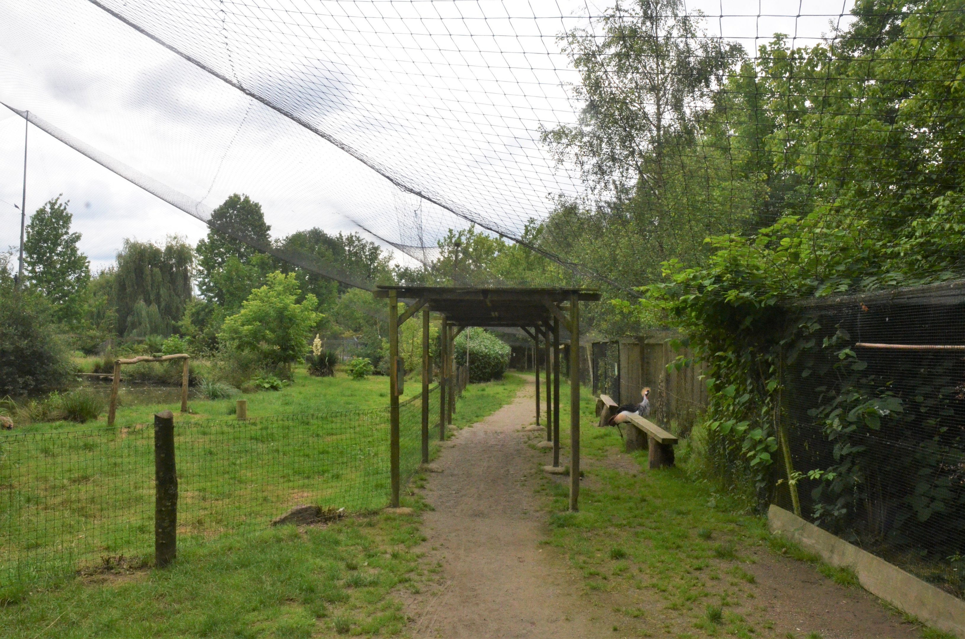 African Walk-through Aviary at Spaycific'Zoo, 13/06/18