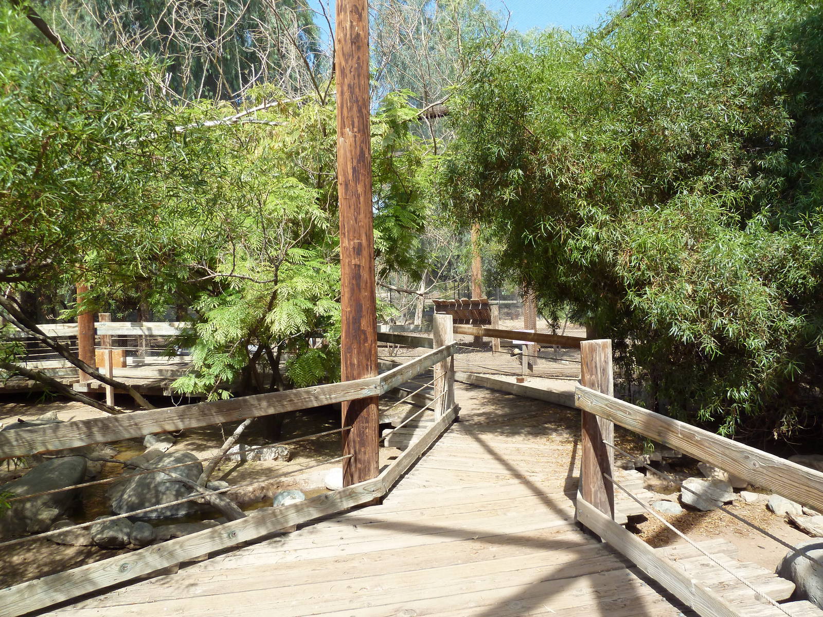 African Walk-Through Aviary