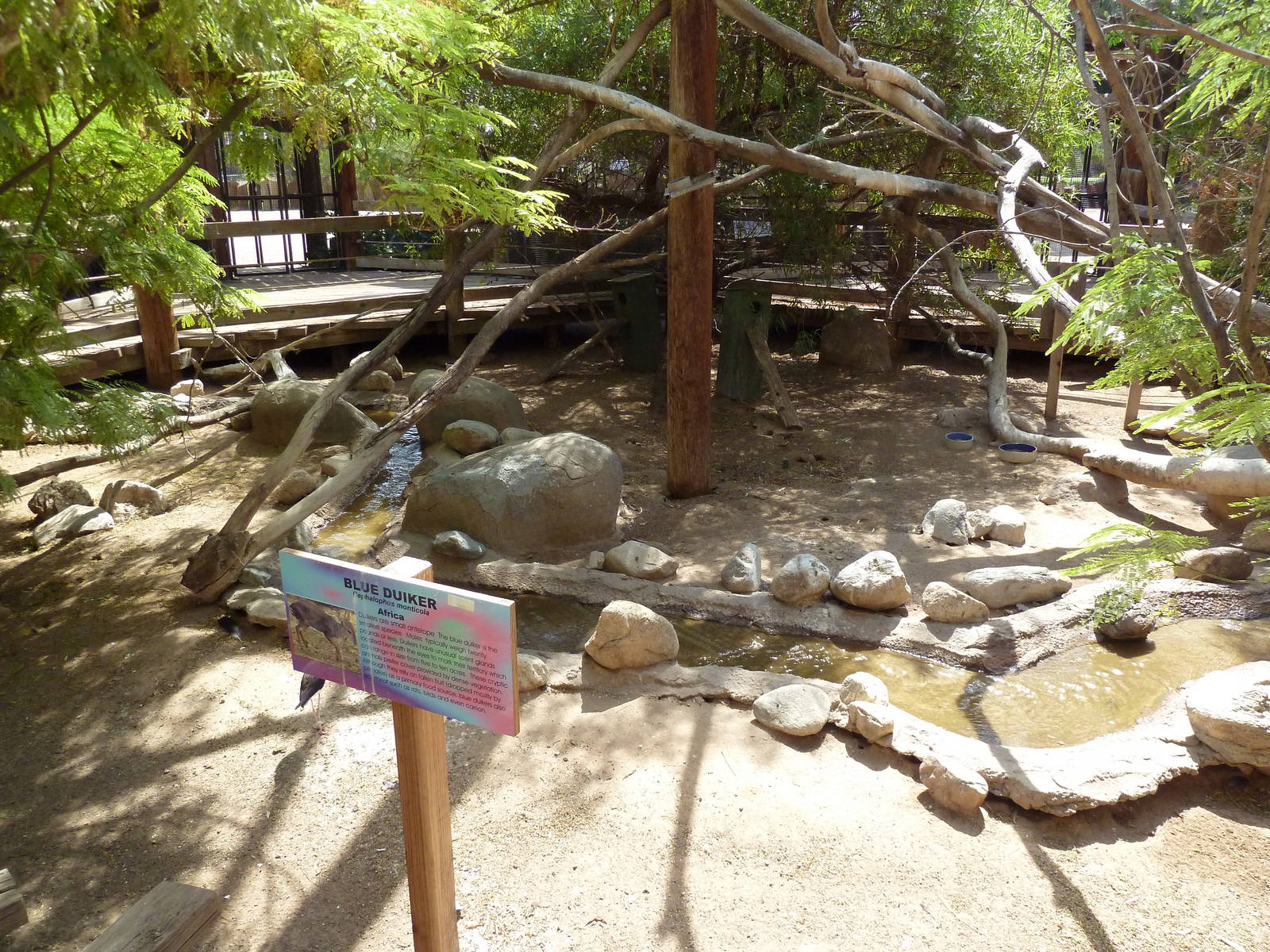 African Walk-Through Aviary