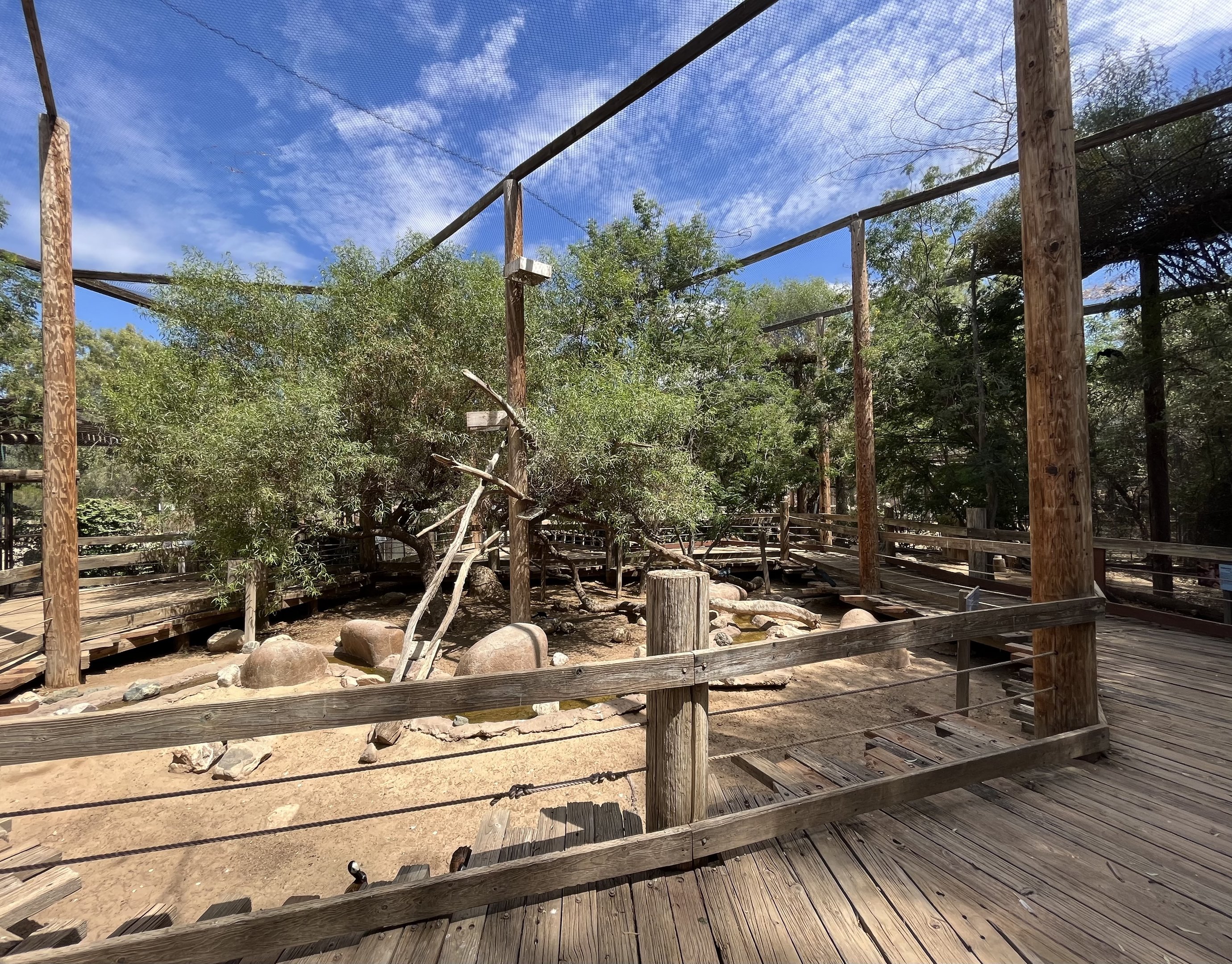 African Walk Through Aviary