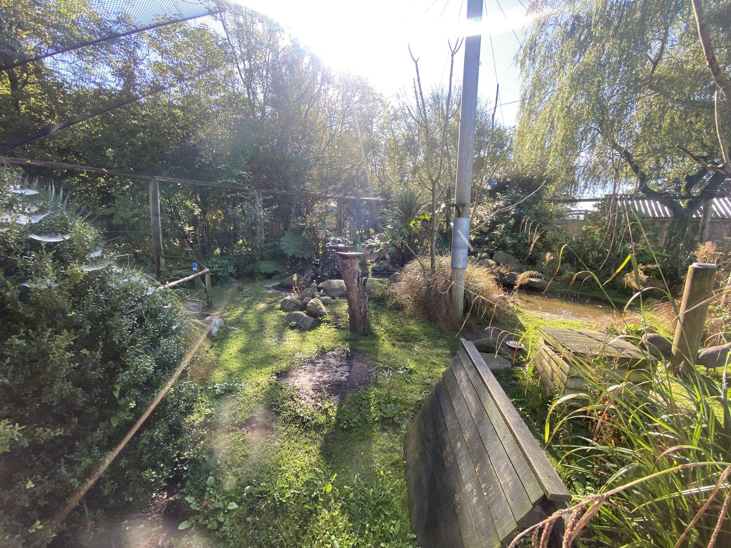 African Walkthrough Aviary 230922