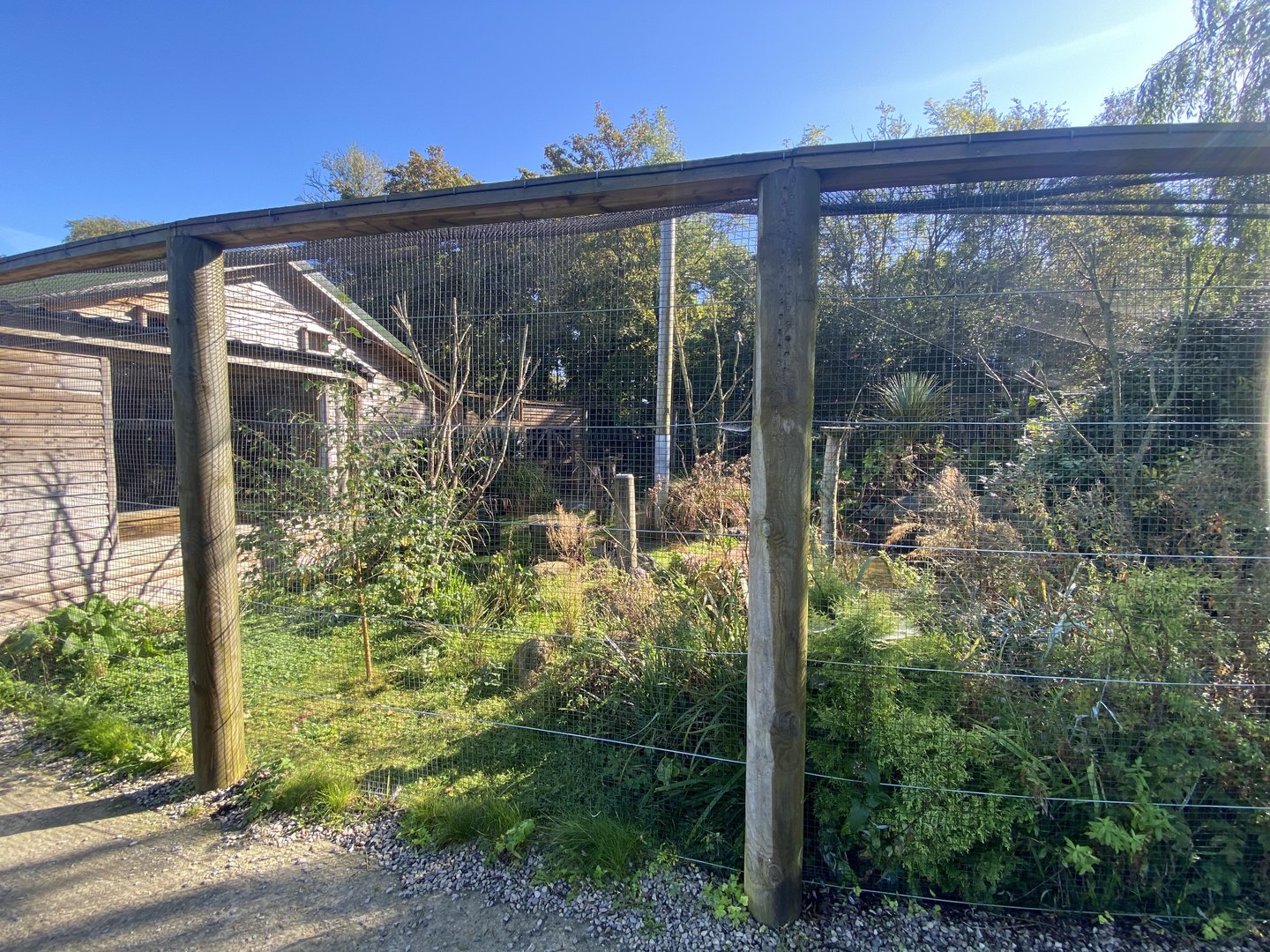 African Walkthrough Aviary 230922