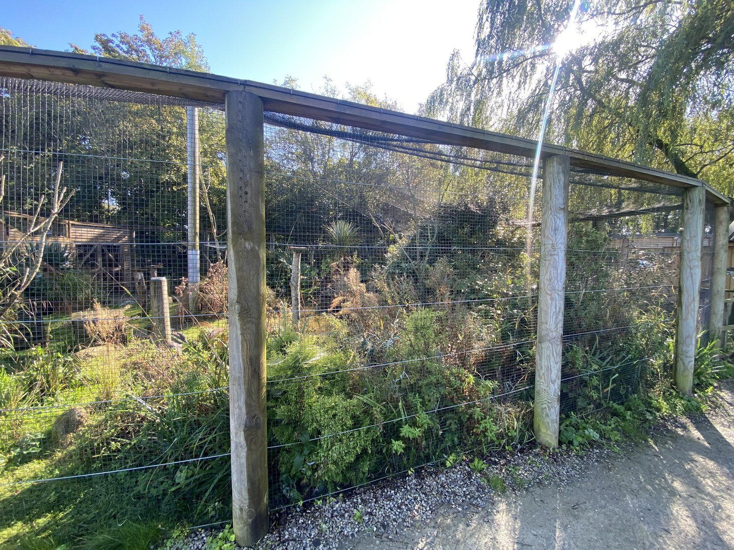 African Walkthrough Aviary 230922