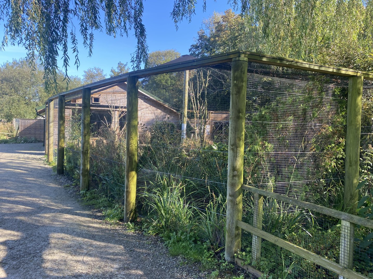 African Walkthrough Aviary 230922