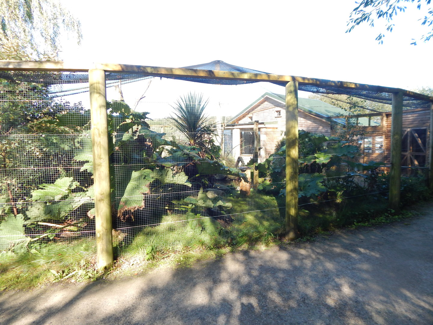 African Walkthrough Aviary 230922