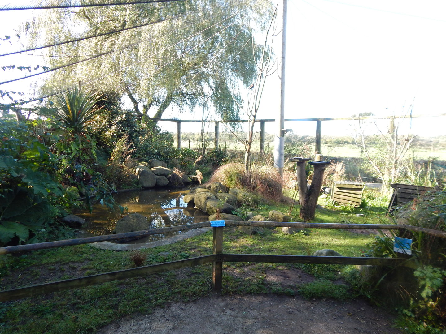 African Walkthrough Aviary 230922